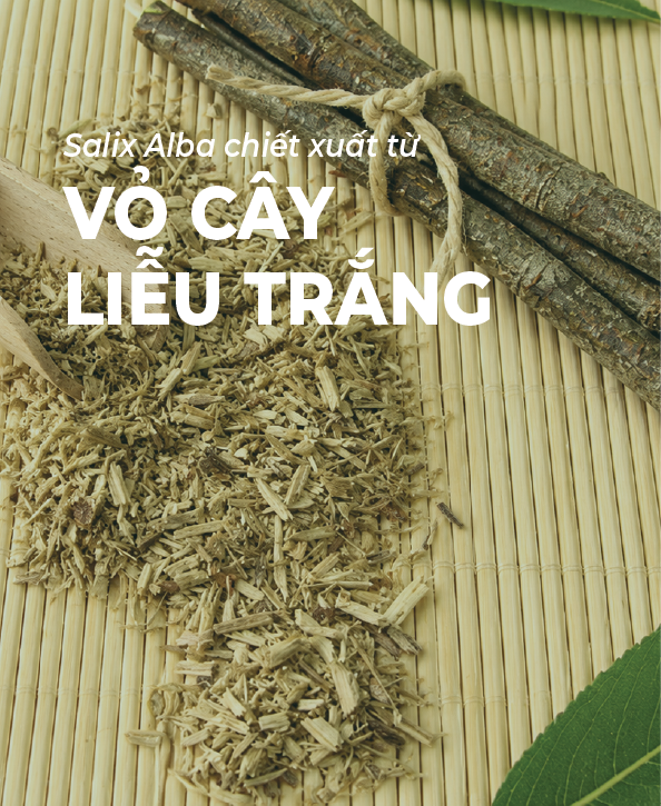 Hoạt chất Salix Alba