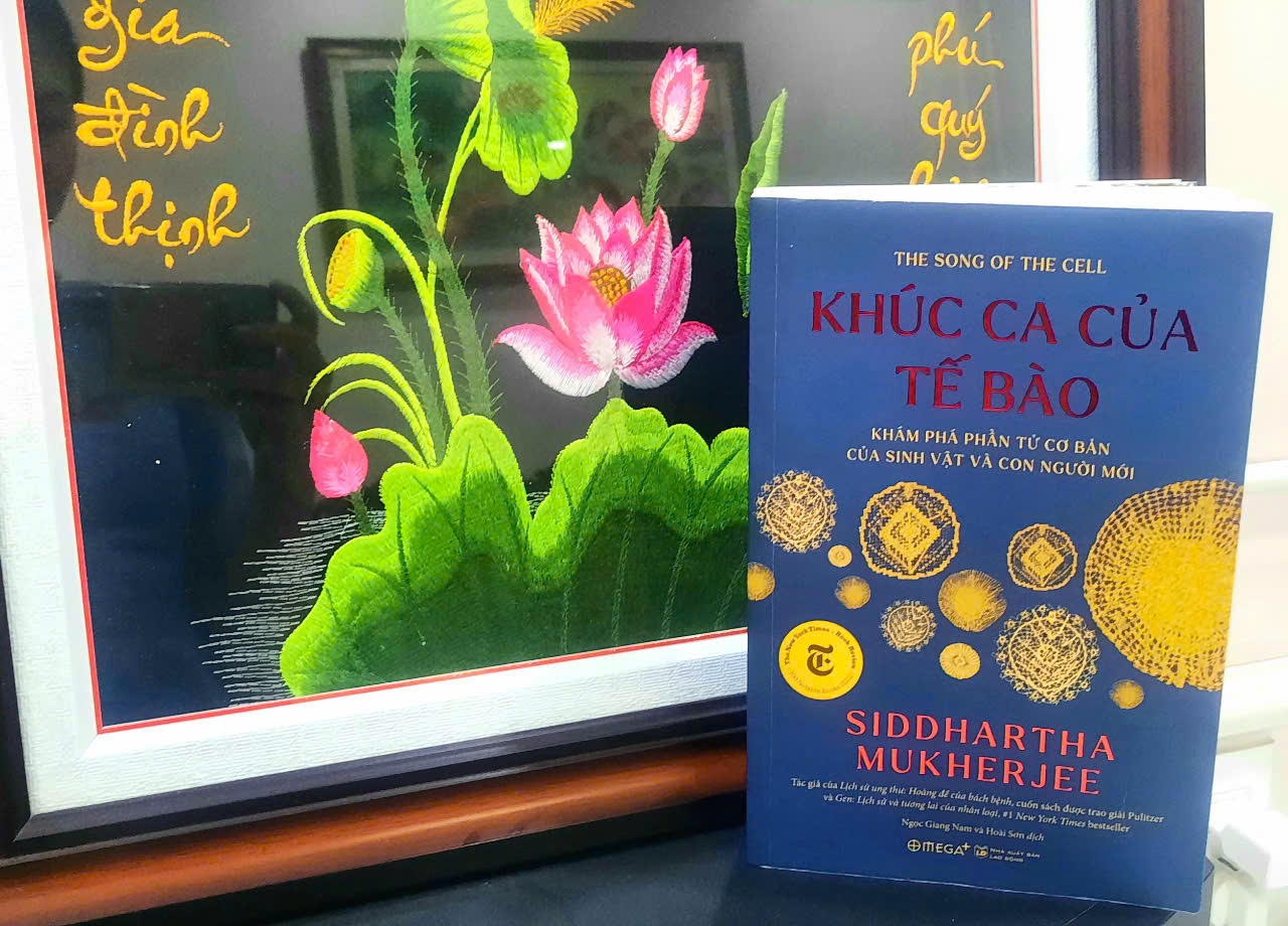 Vì sao xuất phát từ tế bào?
