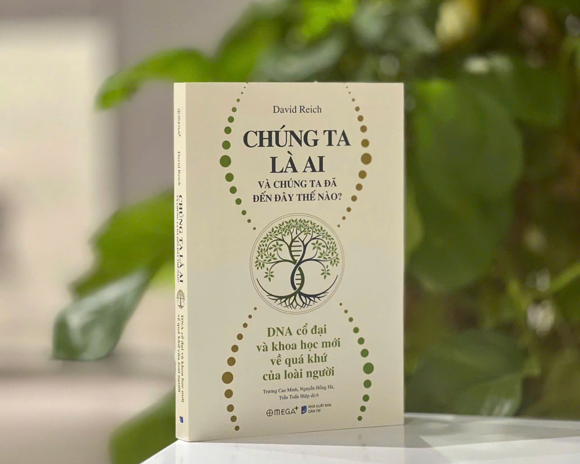 Bạn đã bao giờ tự hỏi mình 