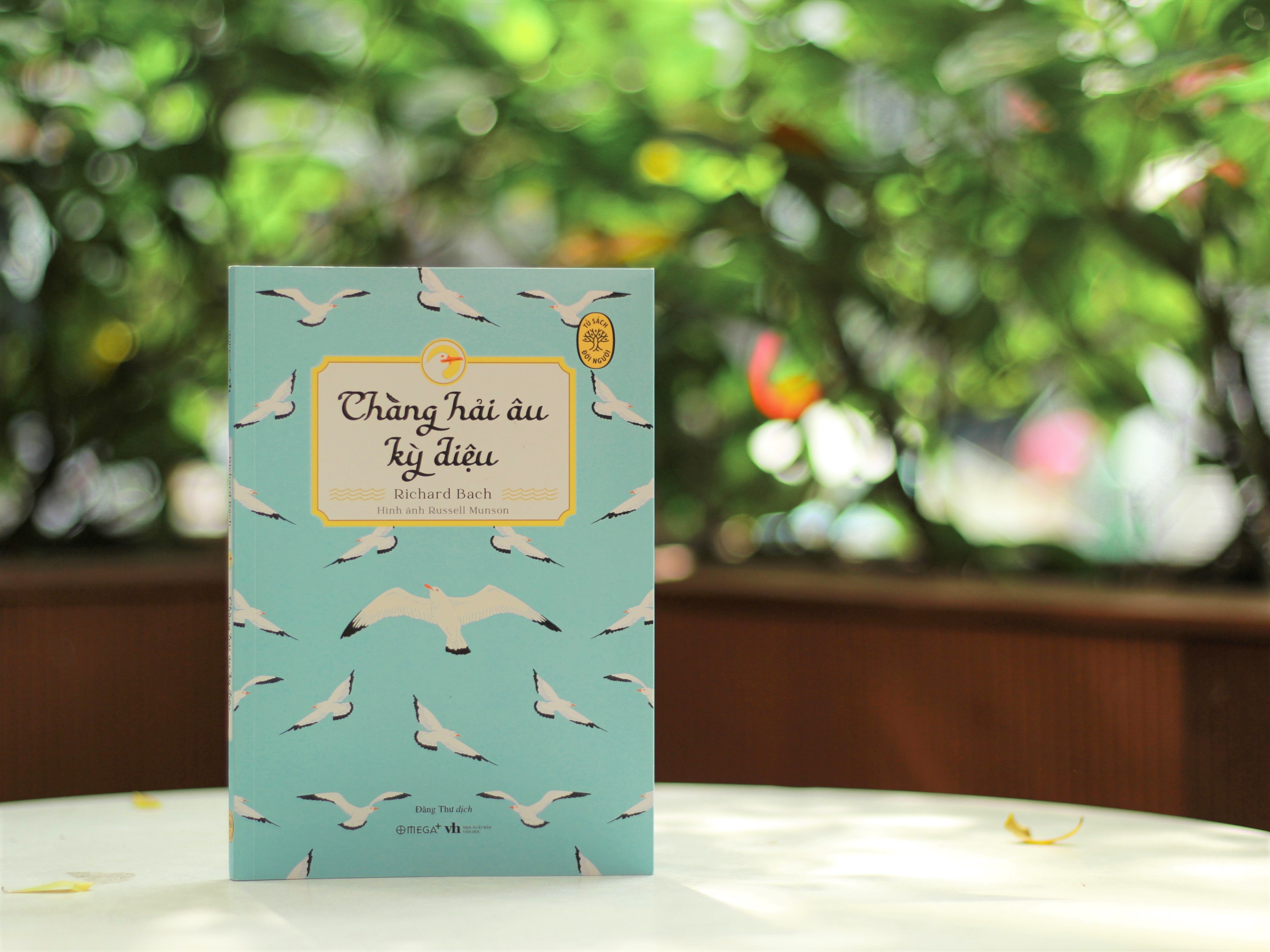 Học cách bay cao hơn đàn từ cuốn sách 