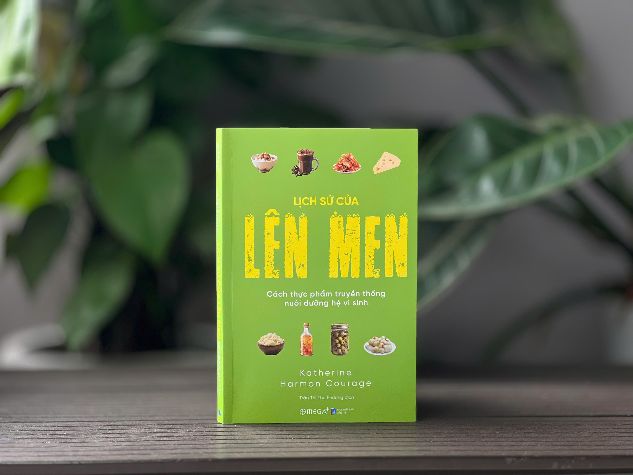 Khi Hệ Tiêu Hóa Cần Một Lời Xin Lỗi, Hành Trình Làm Hòa Với Chính Mình Qua 