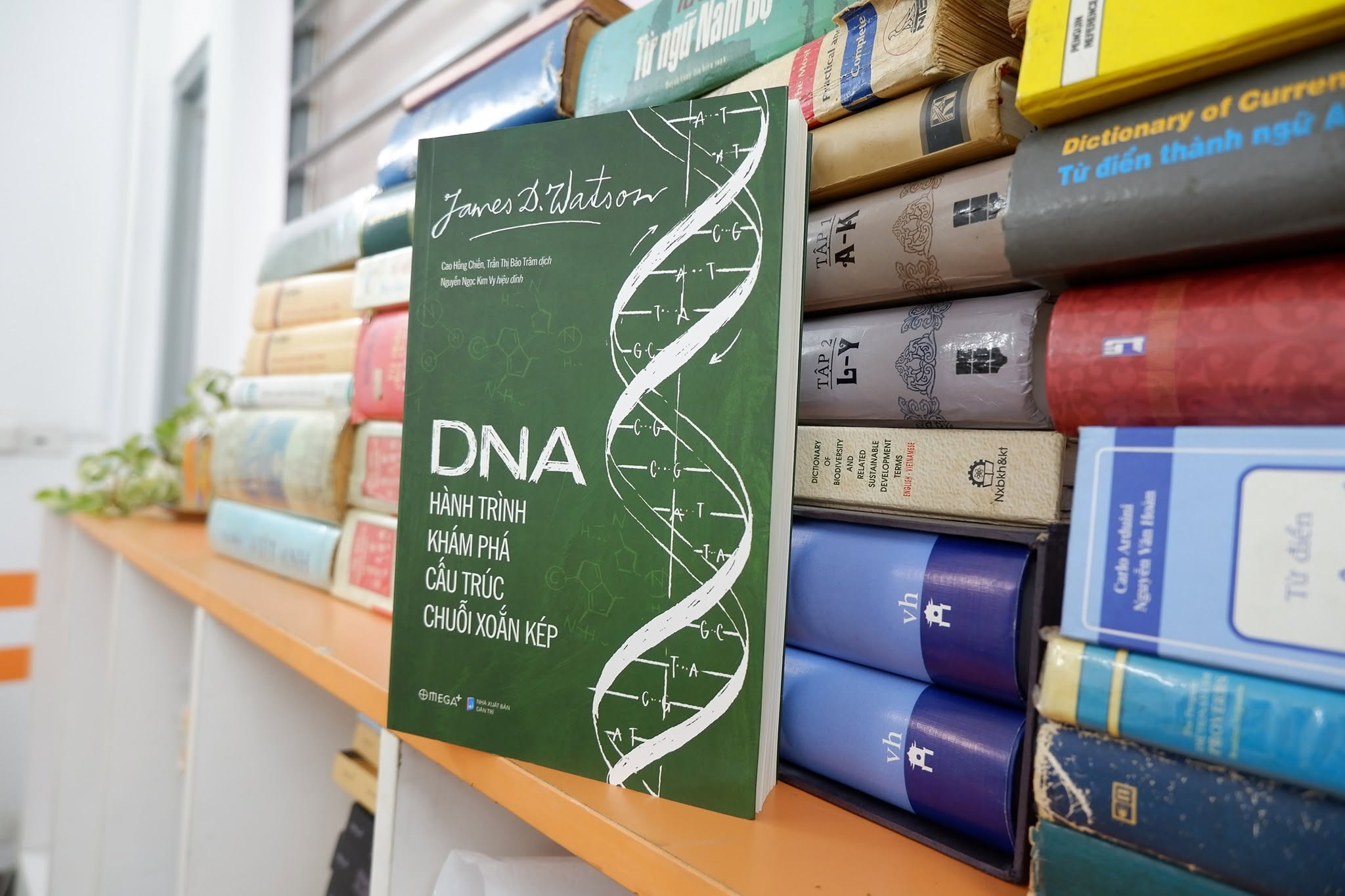 DNA - hành trình khám phá cấu trúc chuỗi xoắn kép