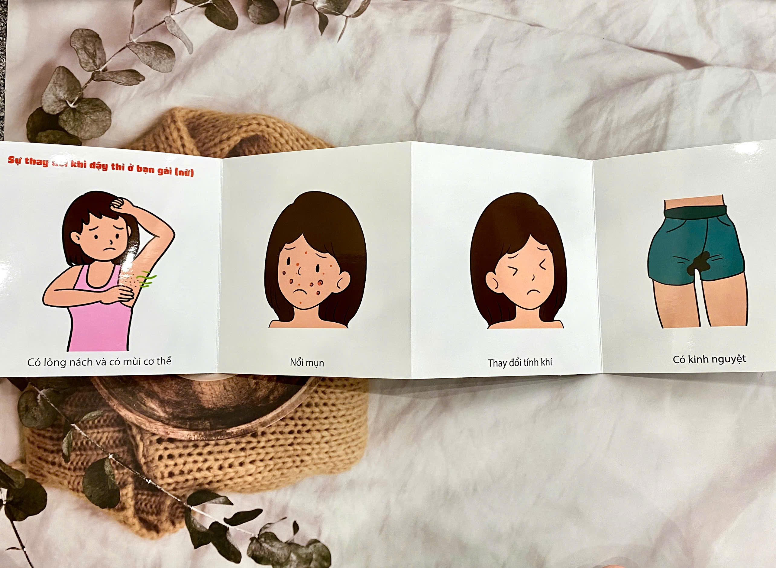 BỘ THẺ - Bước vào tuổi lớn