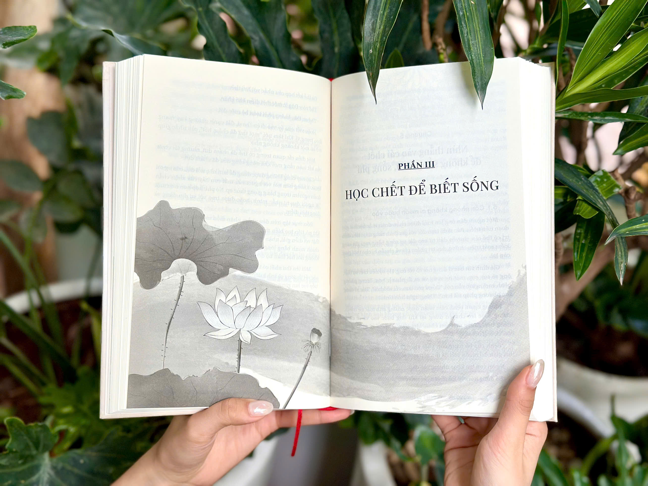 Sách - Sống an vui, chết tự tại (Phật học ứng dụng về nghệ thuật sống, chuẩn bị lâm chung và chăm sóc sức khỏe cuối đời)
