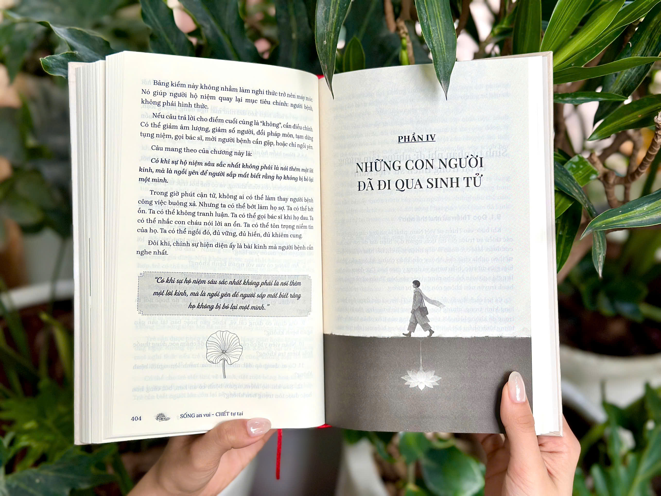 Sách - Sống an vui, chết tự tại (Phật học ứng dụng về nghệ thuật sống, chuẩn bị lâm chung và chăm sóc sức khỏe cuối đời)