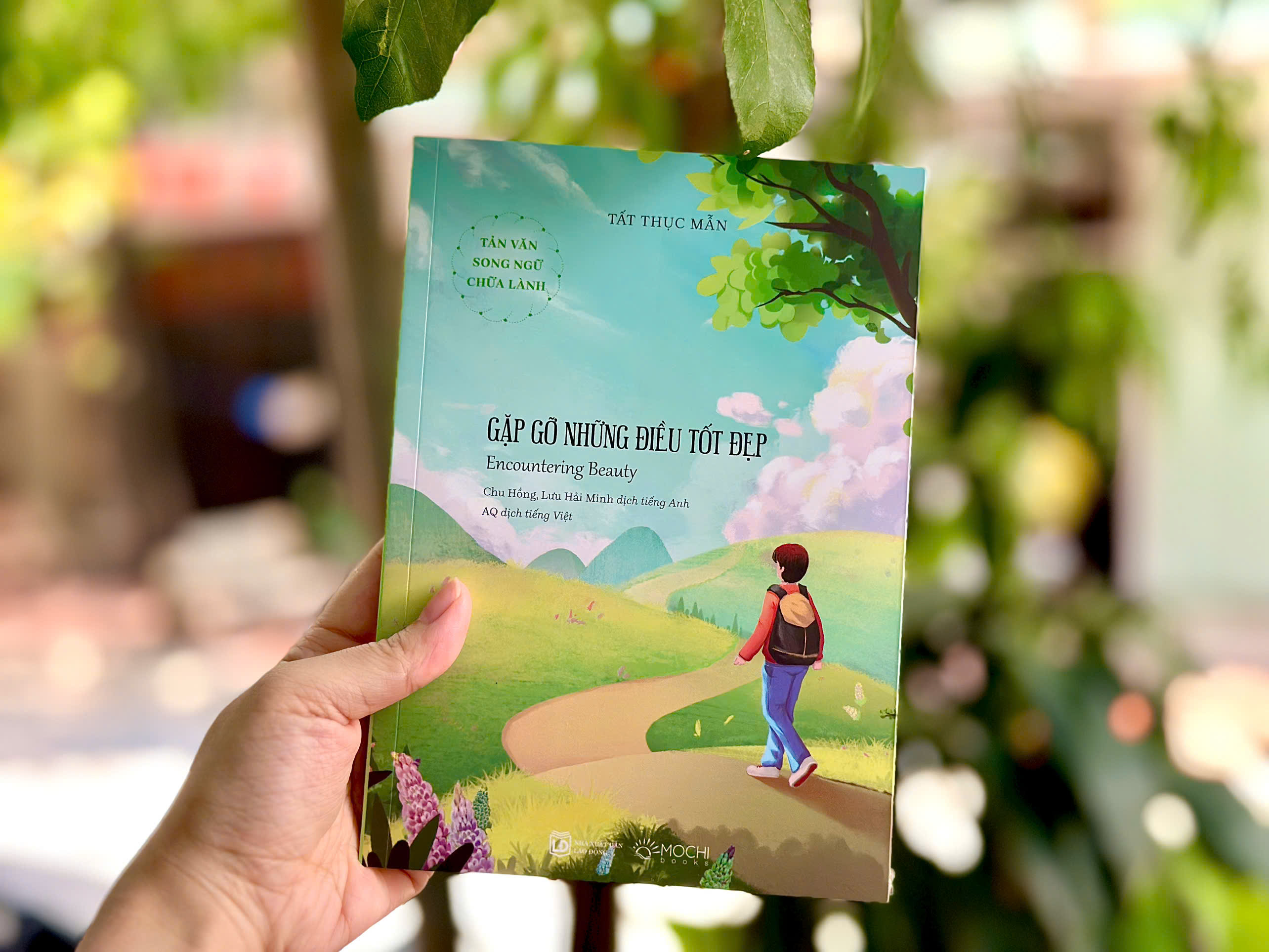Sách - Gặp gỡ những điều tốt đẹp (Encountering Beauty)