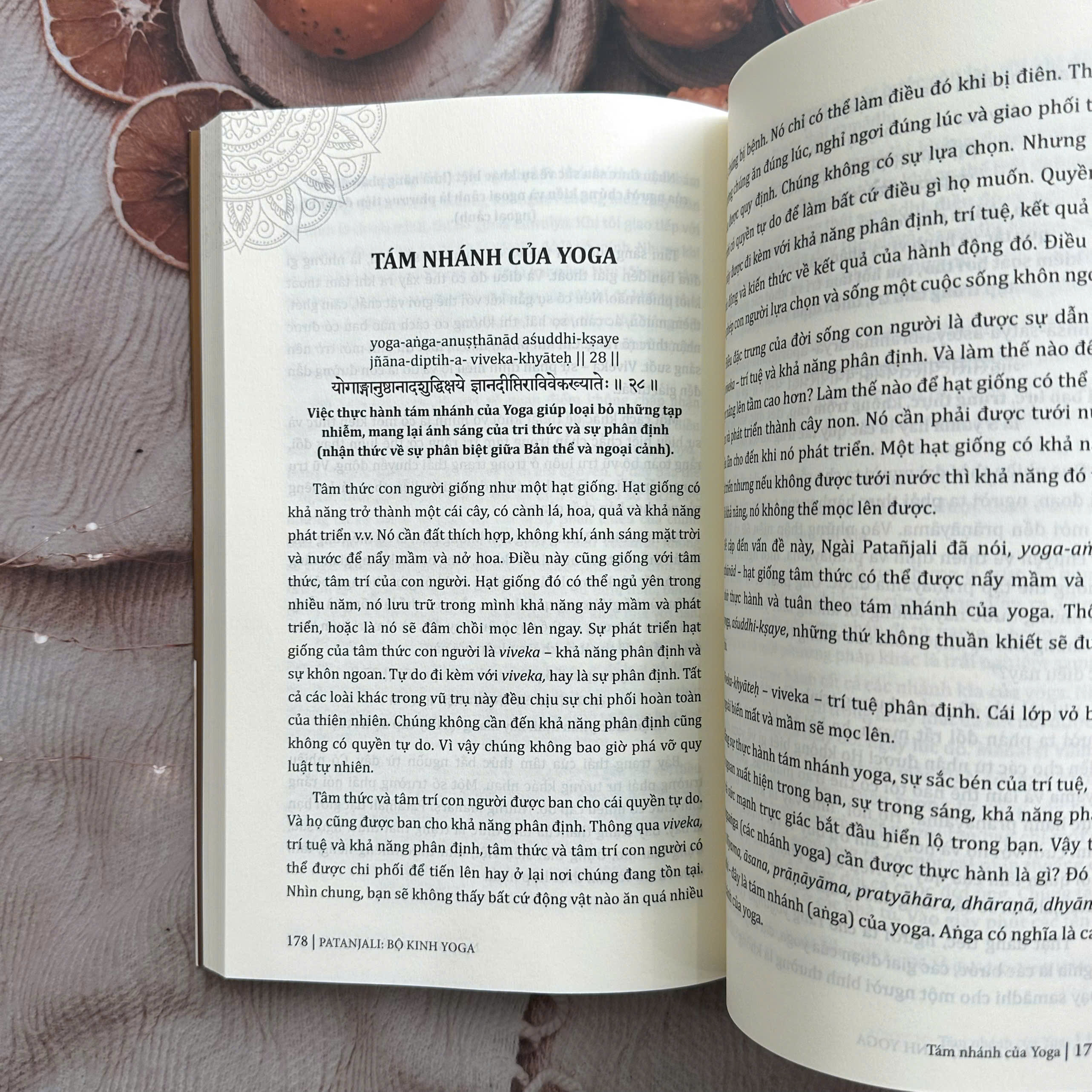 Sách - Patanjali: Bộ kinh Yoga (Tinh hoa của Yoga: The art of living)