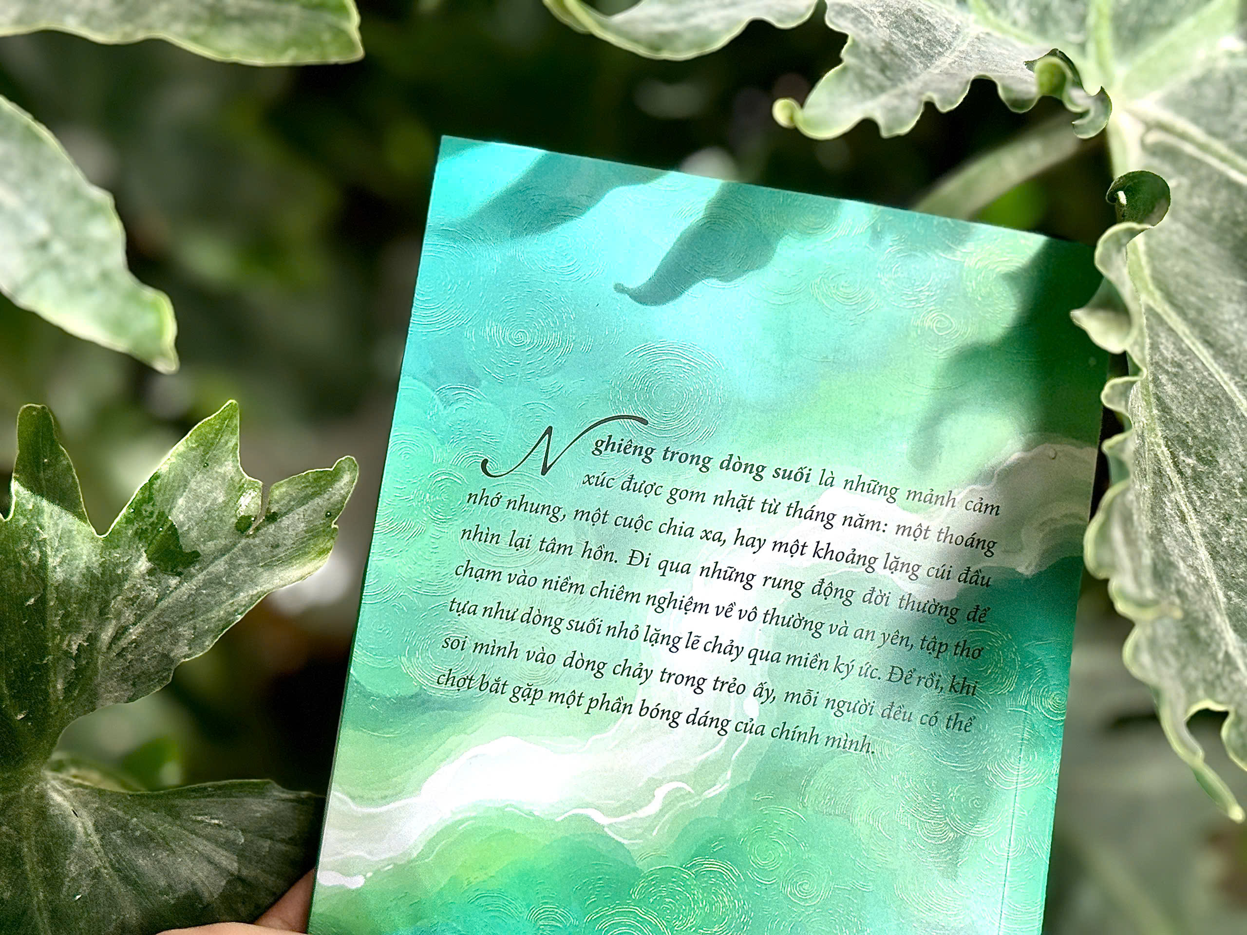 Sách - Nghiêng trong dòng suối
