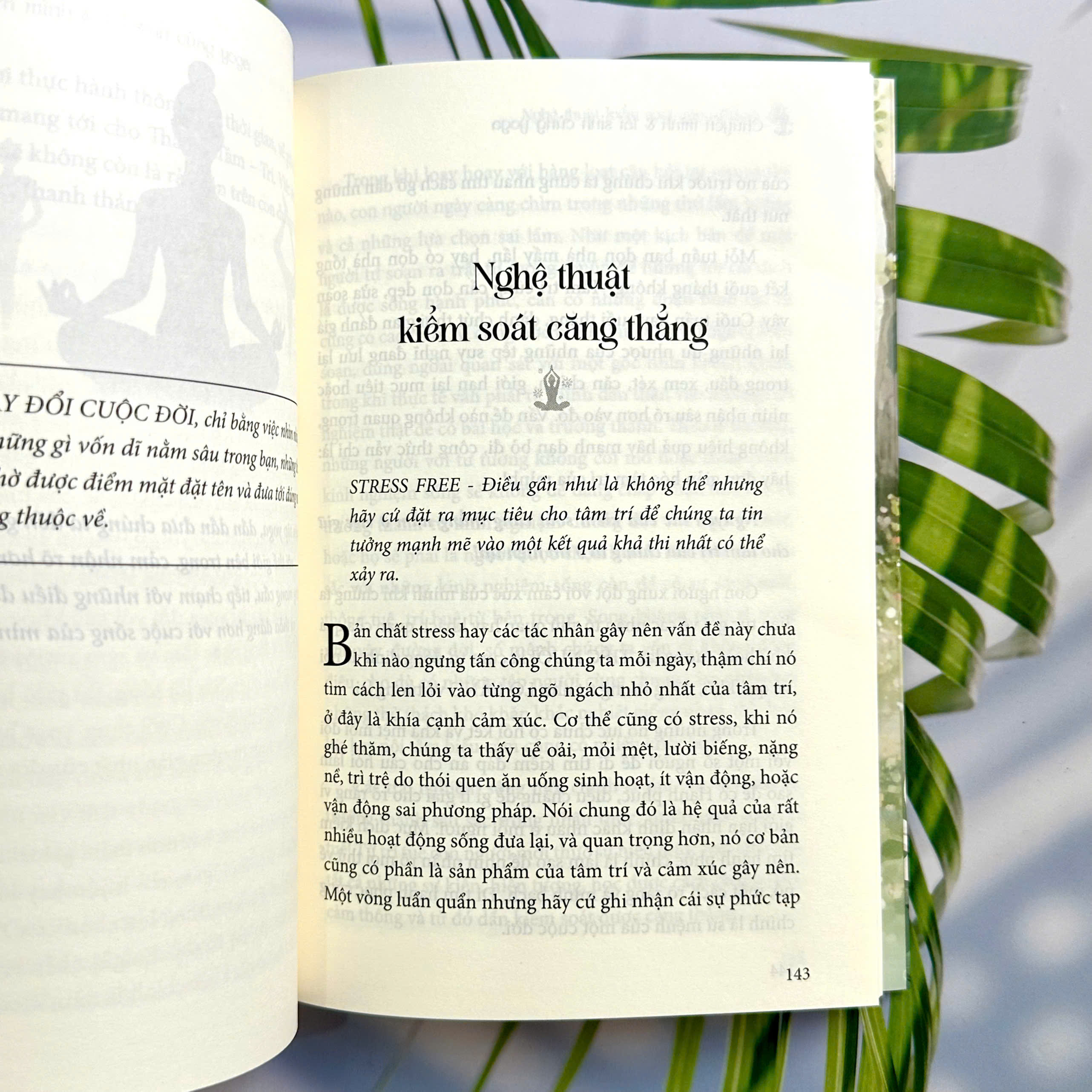 Sách - Chuyển mình và tái sinh cùng Yoga