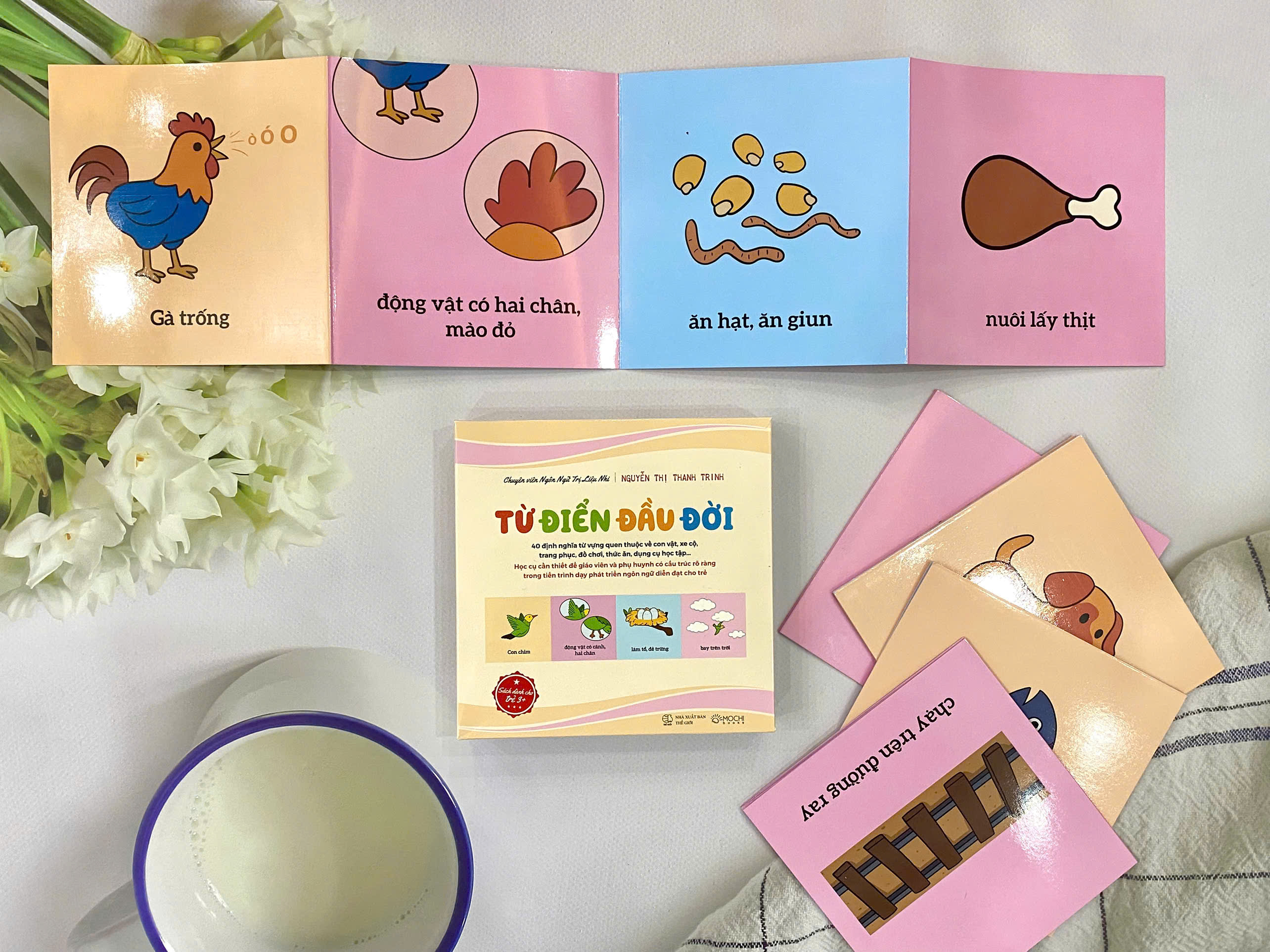 Bộ thẻ - Từ điển đầu đời