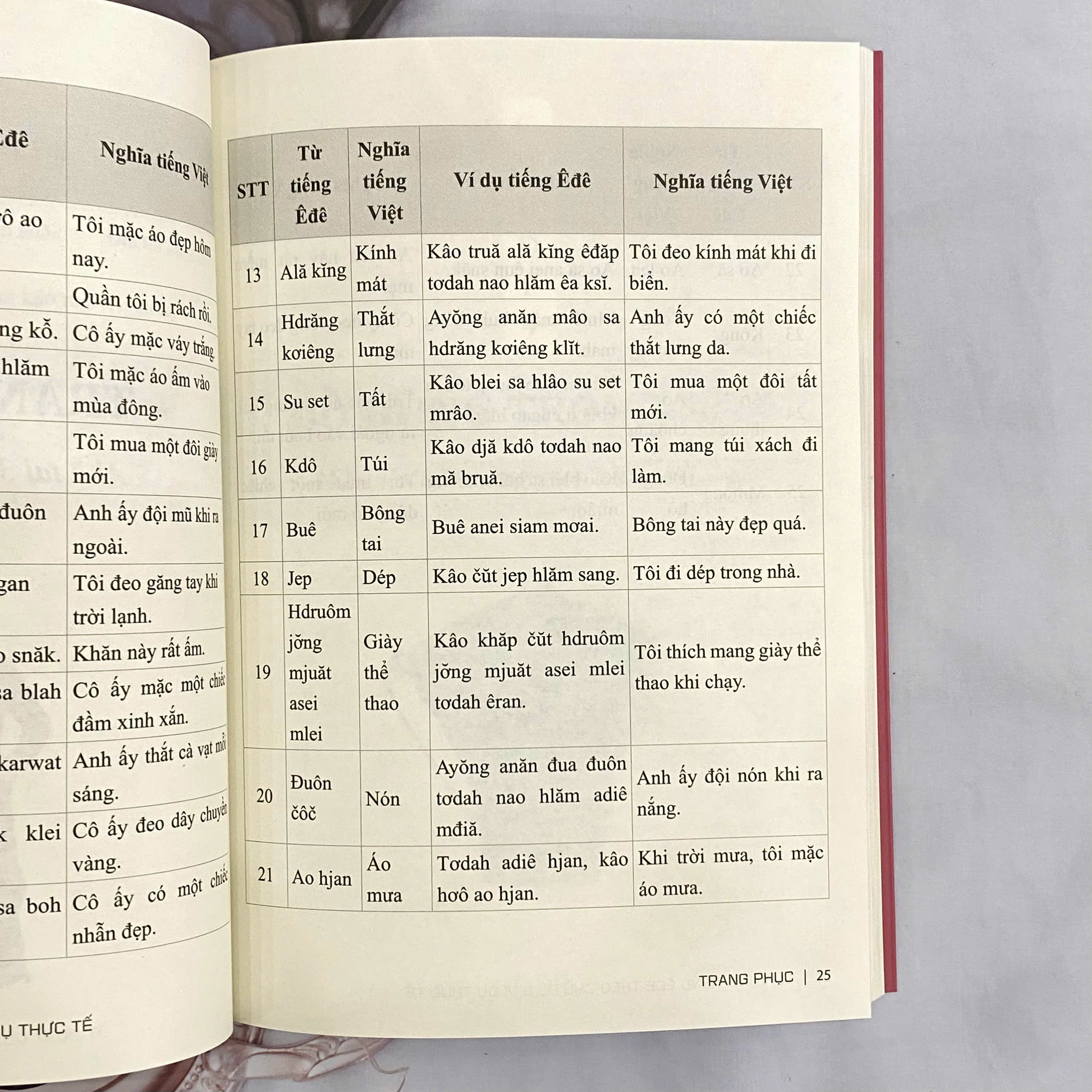 Sách -  Từ vựng tiếng Êđê theo chủ đề và ví dụ thực tế (Song ngữ Êđê - Việt)