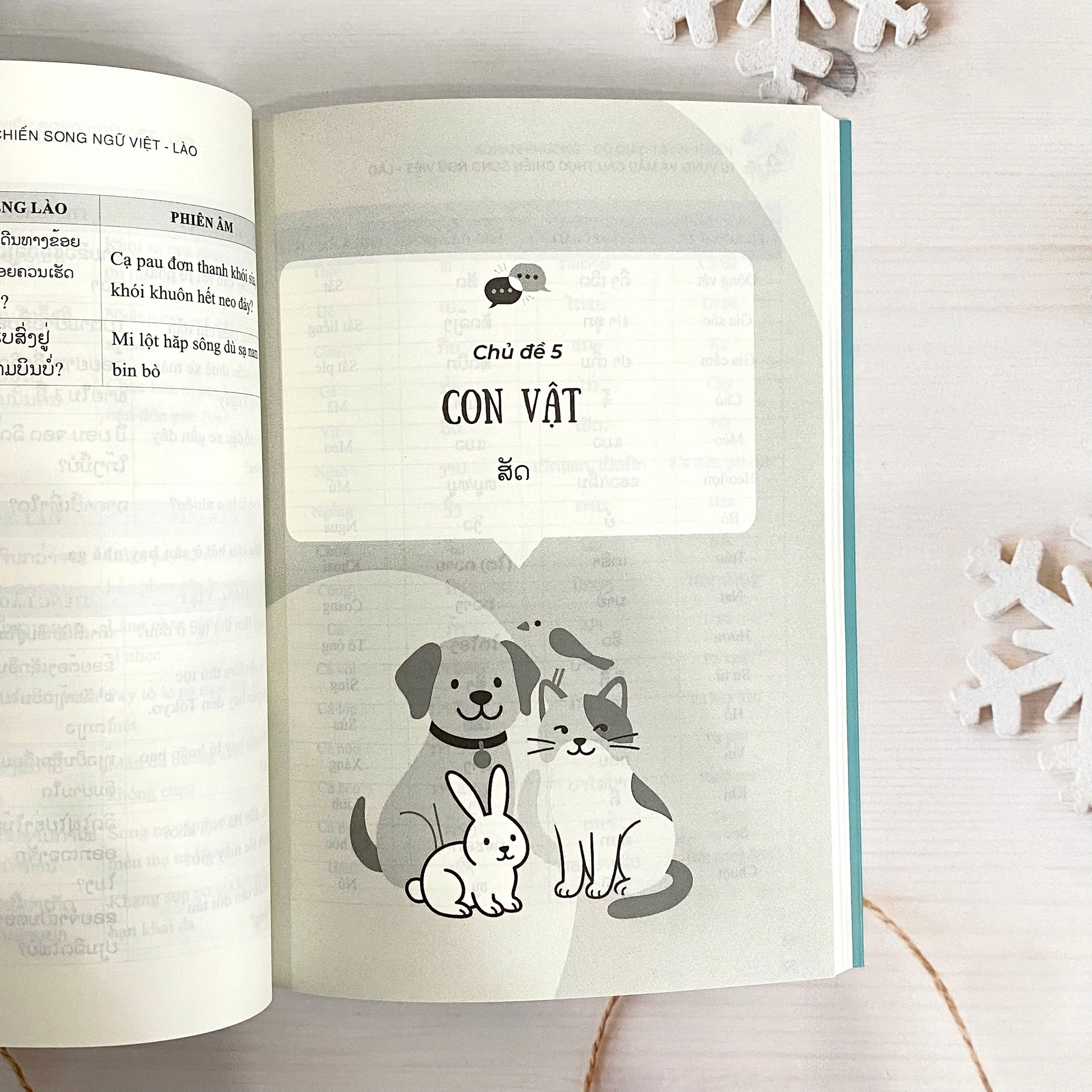 Sách - Từ vựng và mẫu câu thực chiến song ngữ Việt - Lào