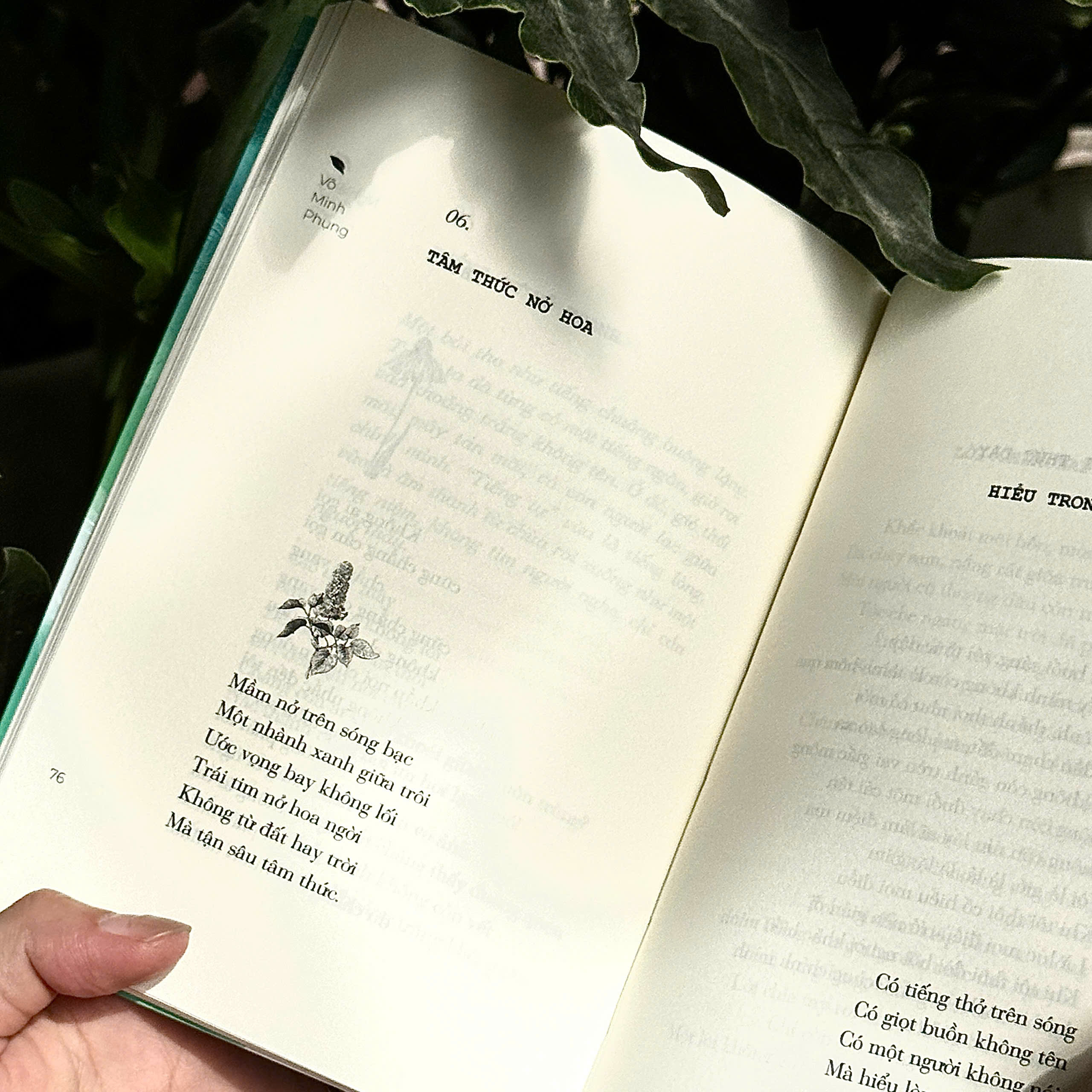 Sách - Nghiêng trong dòng suối