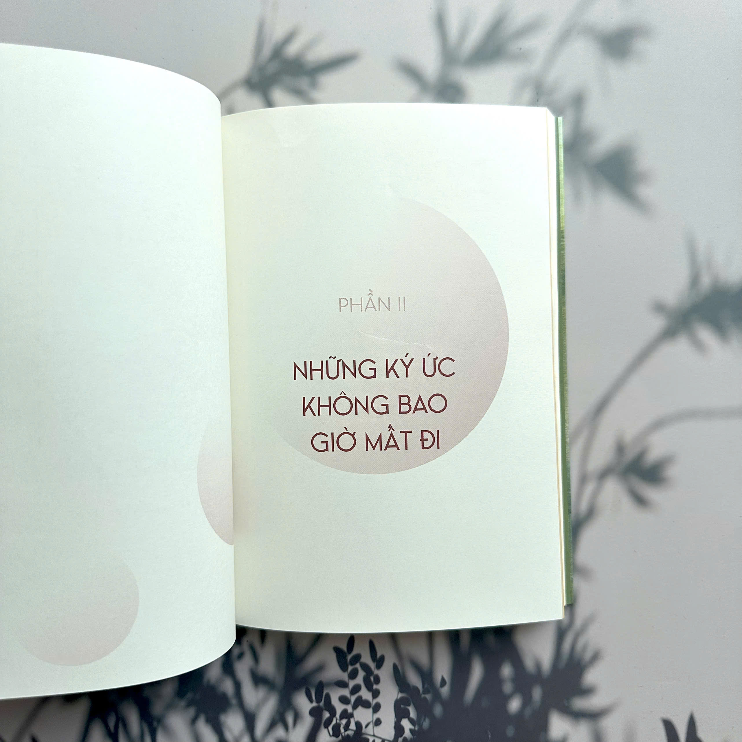 Sách - Khi cuộc đời chậm lại một chút (Những khoảng lặng)