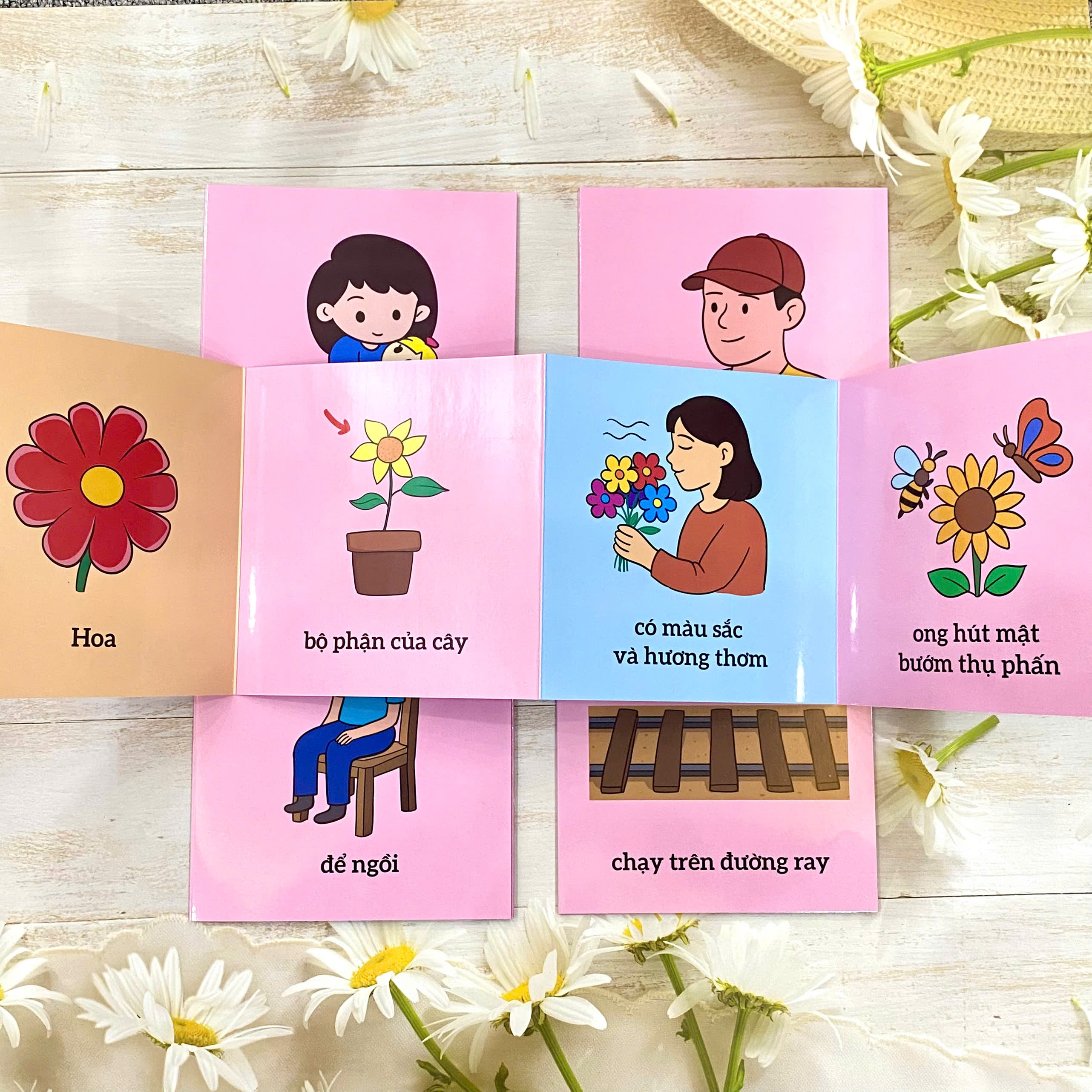 Bộ thẻ - Từ điển đầu đời