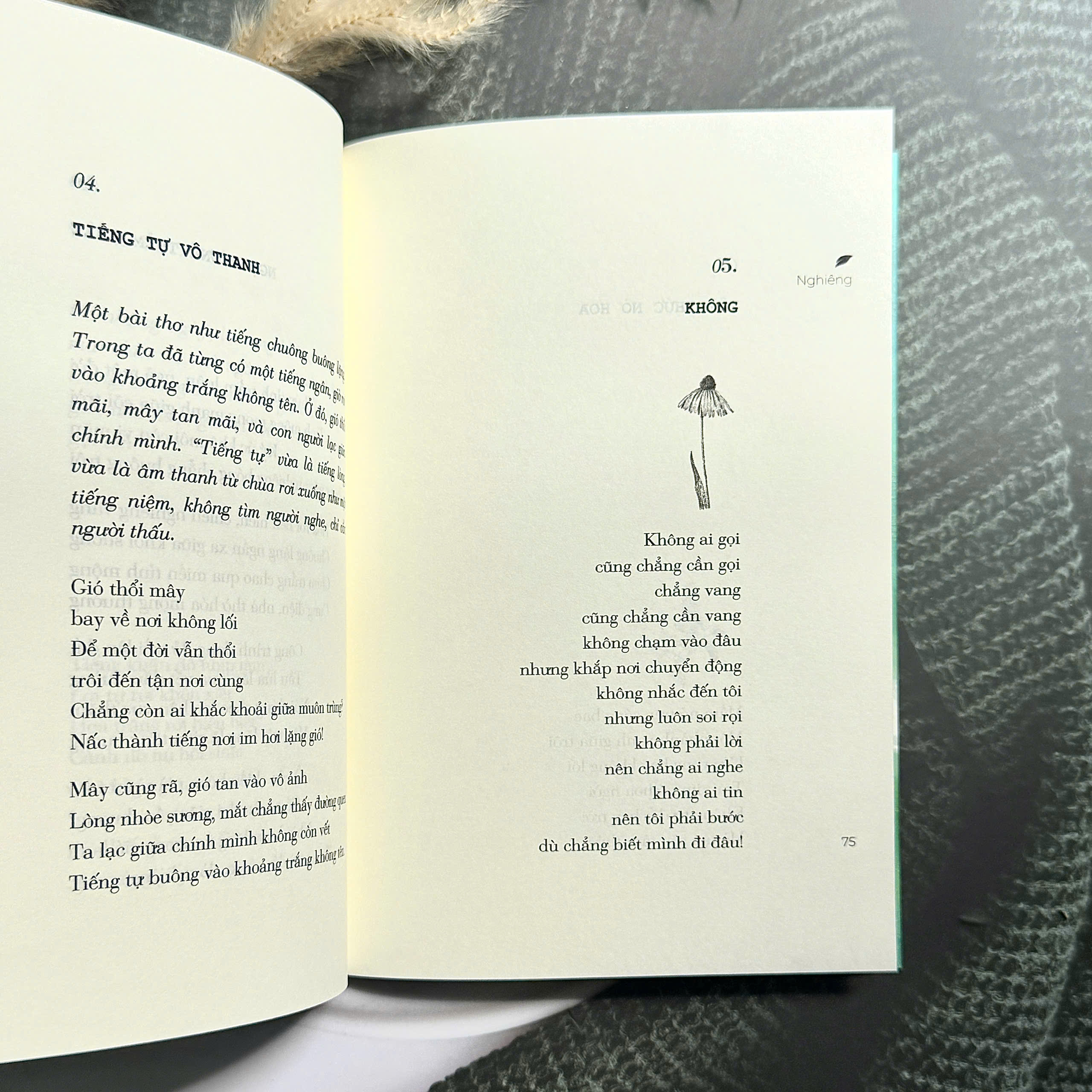 Sách - Nghiêng trong dòng suối