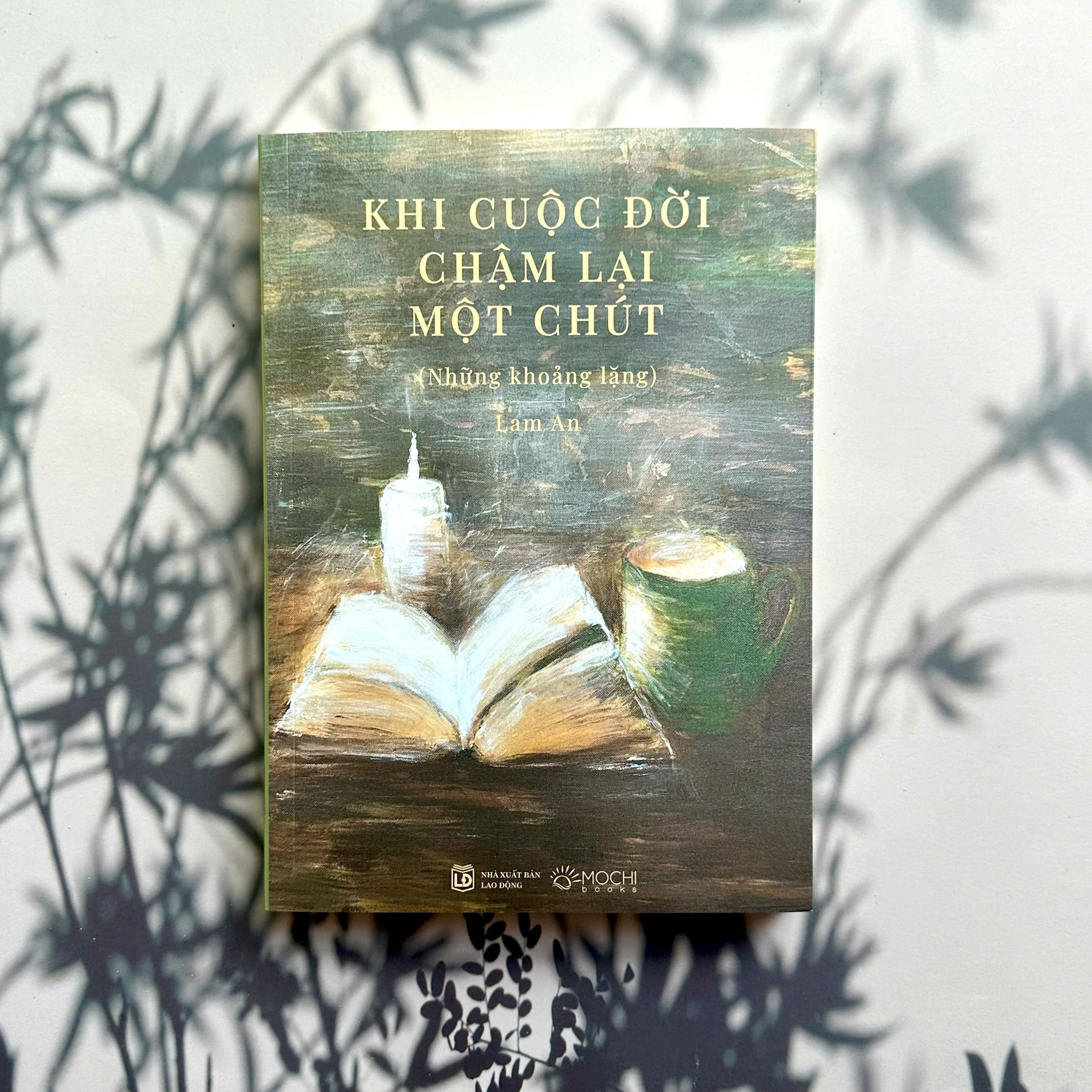 Sách - Khi cuộc đời chậm lại một chút (Những khoảng lặng)