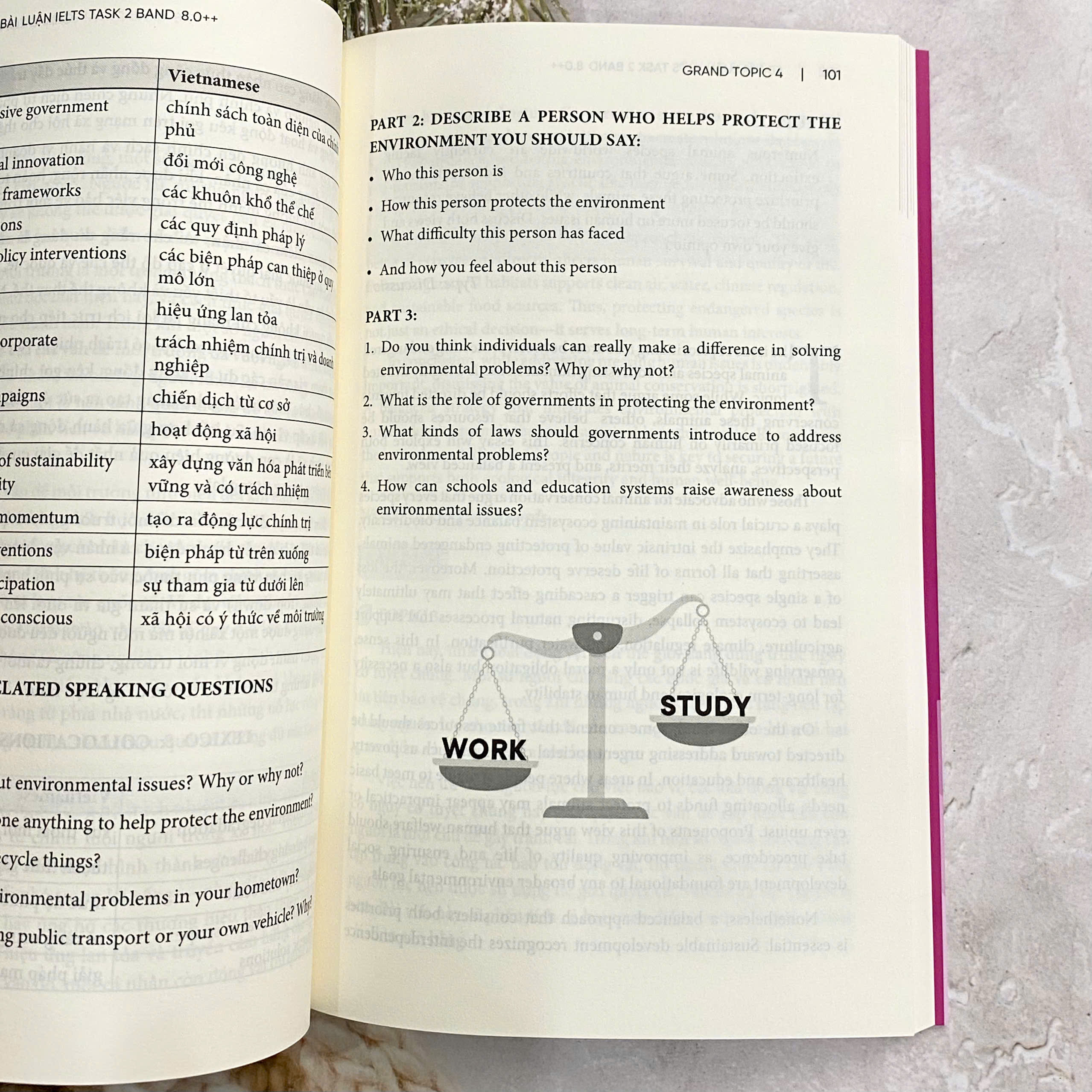 Sách - IELTS Adventure with Ms. Jenny: 50 bài tuần IELTS Writing Task 8.0++