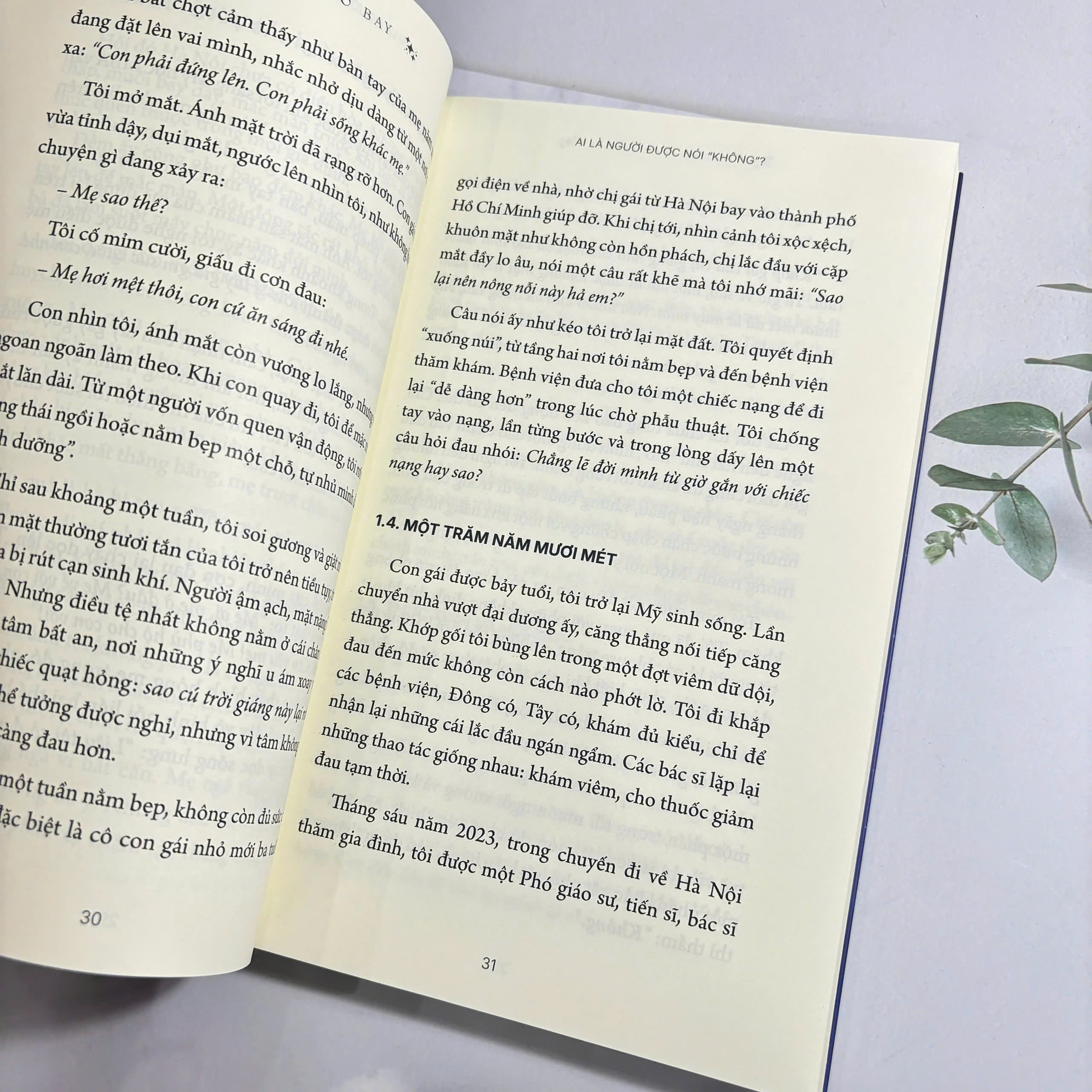 Sách - Ngôi sao bay: Sức mạnh của tỉnh thức