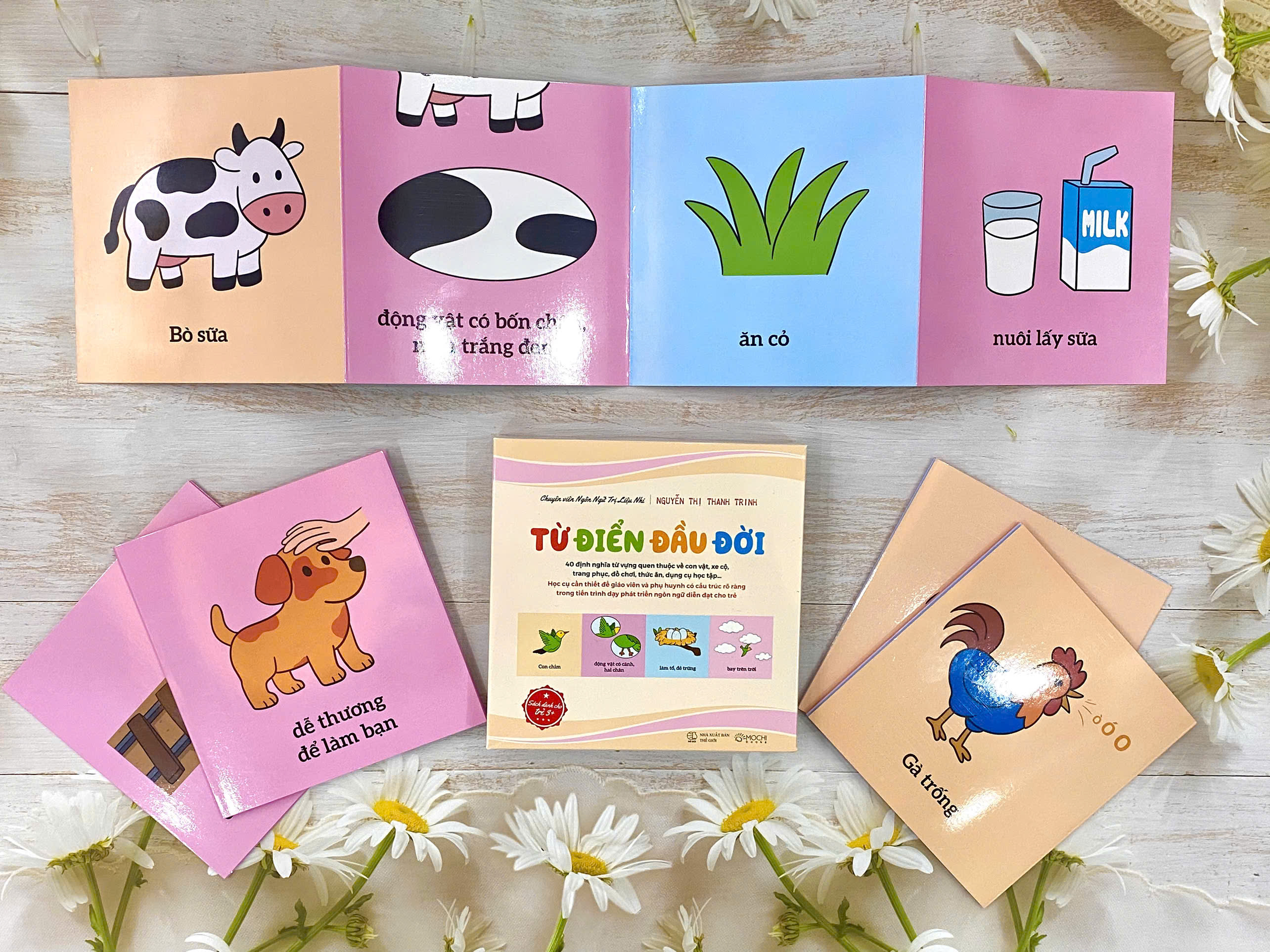 Bộ thẻ - Từ điển đầu đời