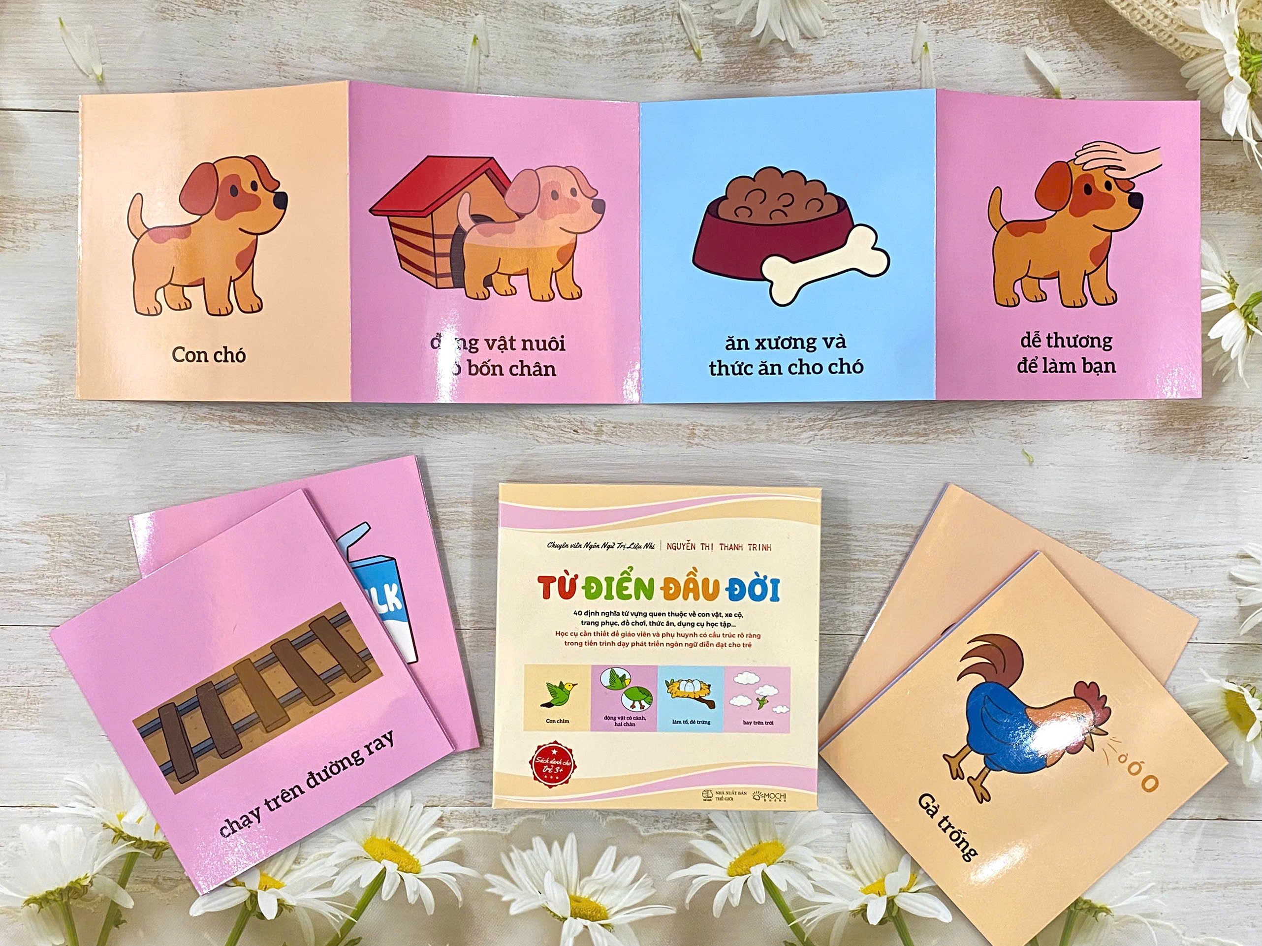 Bộ thẻ - Từ điển đầu đời