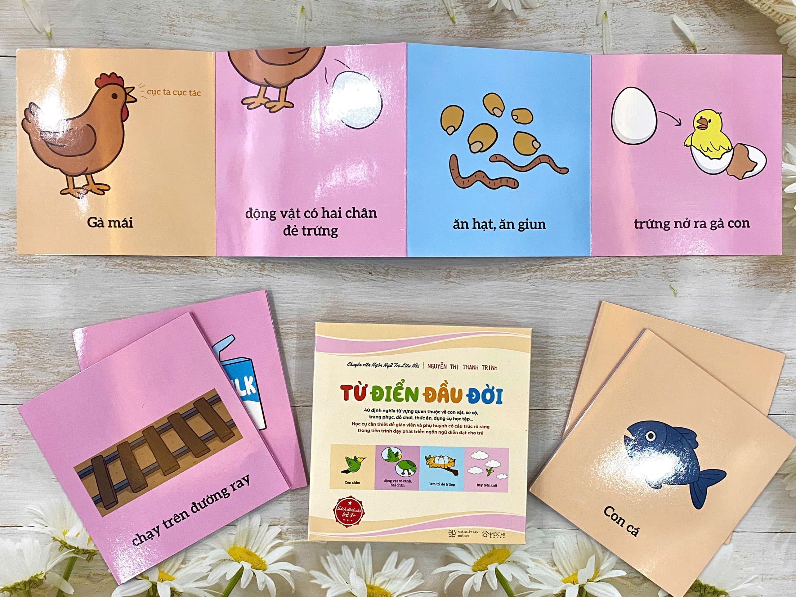 Bộ thẻ - Từ điển đầu đời