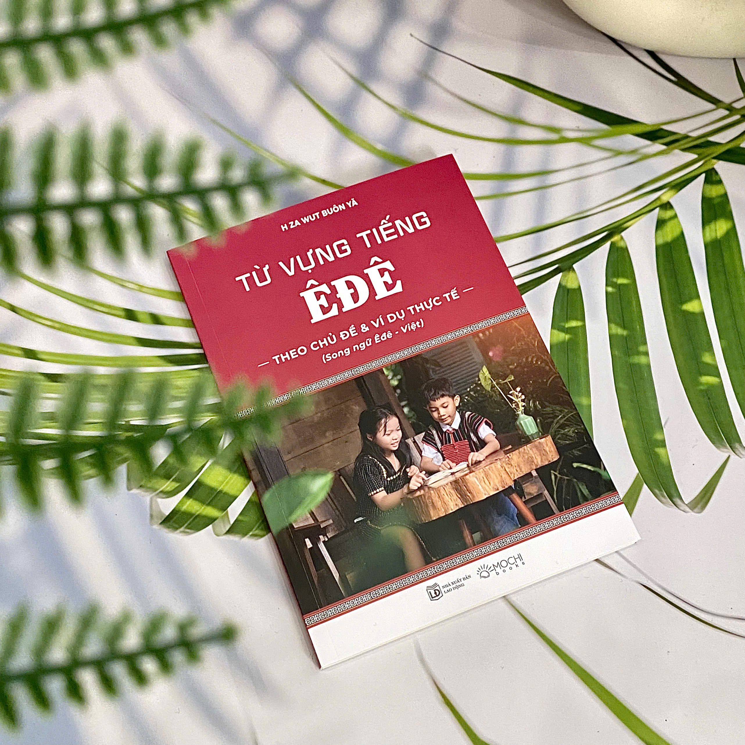 Sách -  Từ vựng tiếng Êđê theo chủ đề và ví dụ thực tế (Song ngữ Êđê - Việt)