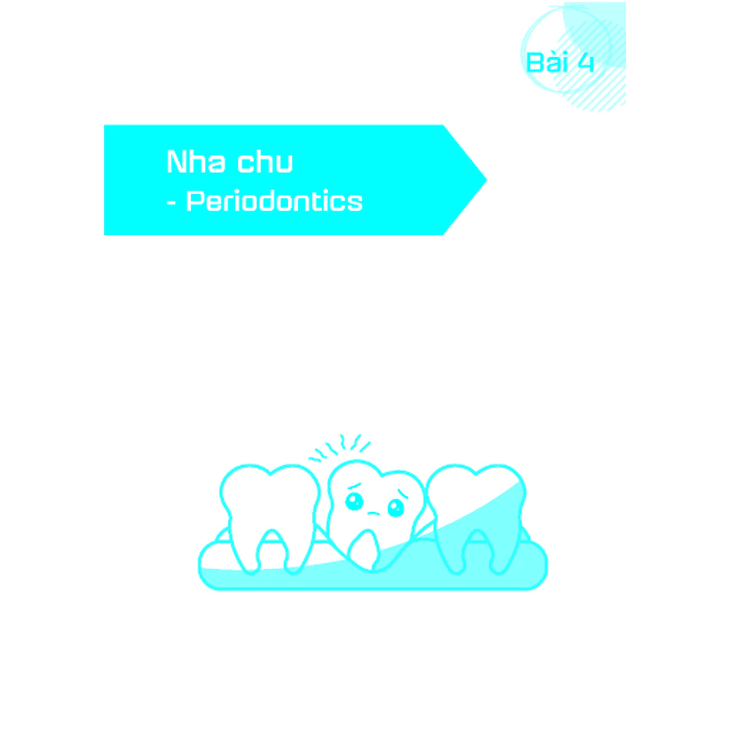Tiếng Anh giao tiếp trong phòng Nha