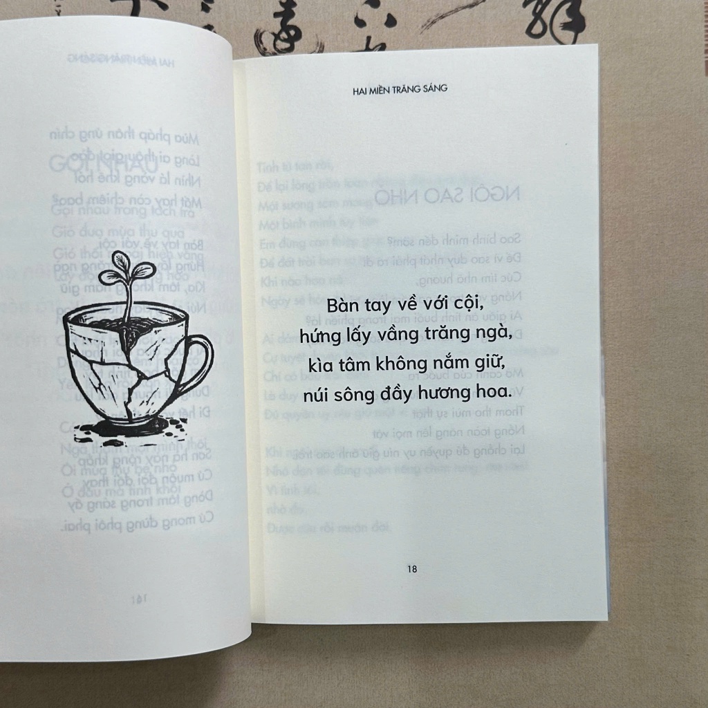 Sách - Hai miền trăng sáng