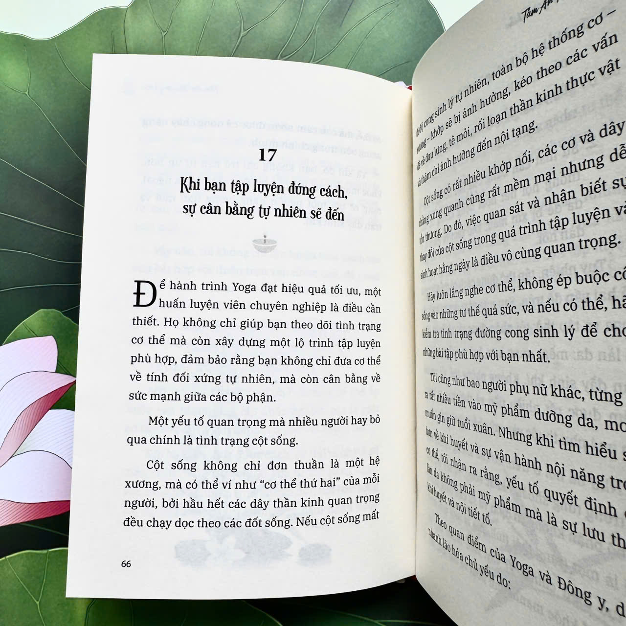 Sống, Yoga và Thiền