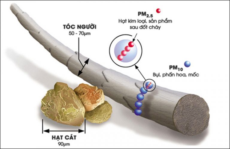 Bụi mịn PM2.5 là gì? Tác hại và cách xử lý bụi mịn