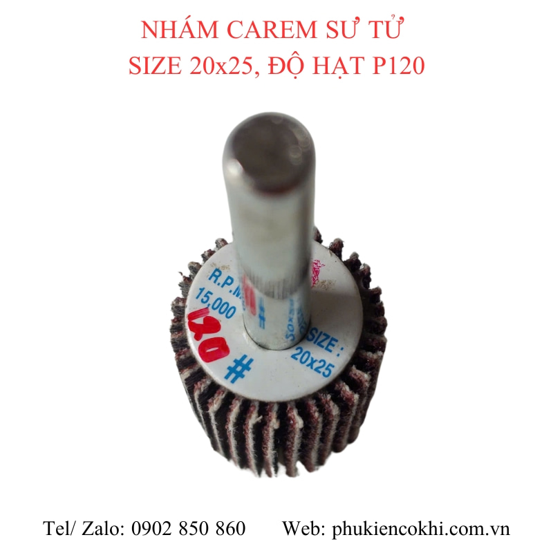 Nhám carem (nhám chuôi, nhám trụ, nhám cây)