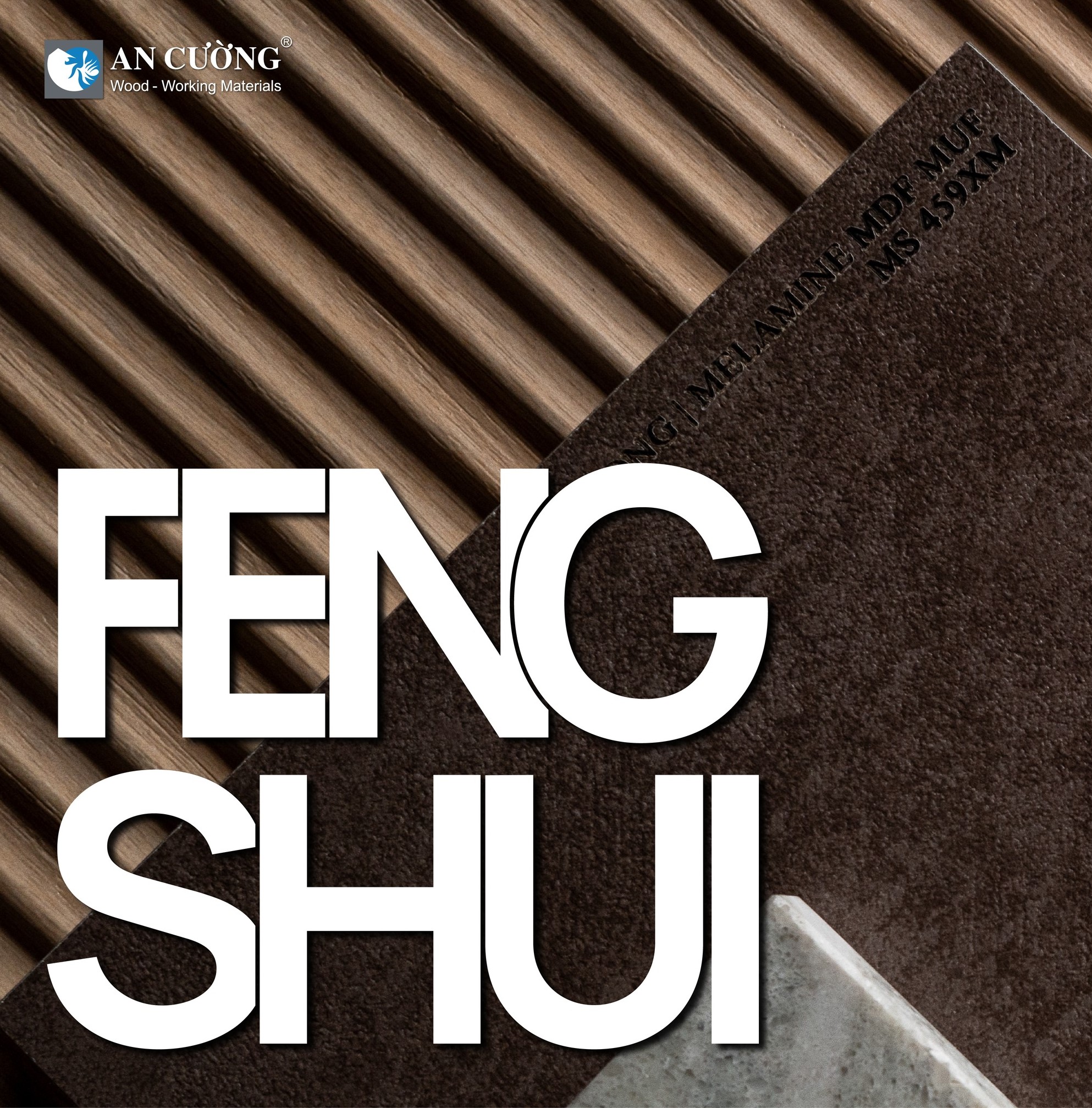 Màu Sắc Phong Thủy 2025: Ý Tưởng Chọn Lựa Đem Lại Tài Lộc