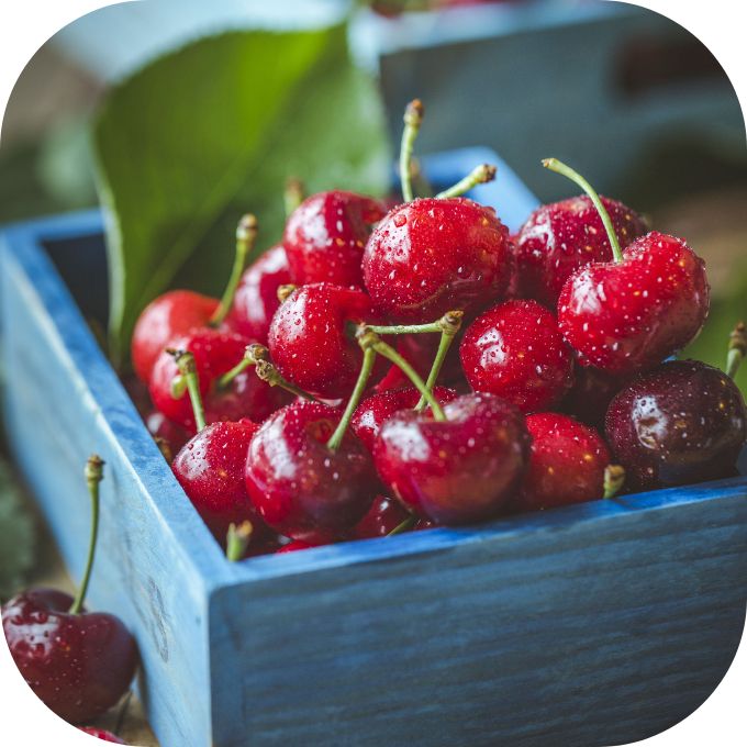 Trái cây nhập khẩu Úc - Lựa chọn tin tưởng cho gia đình