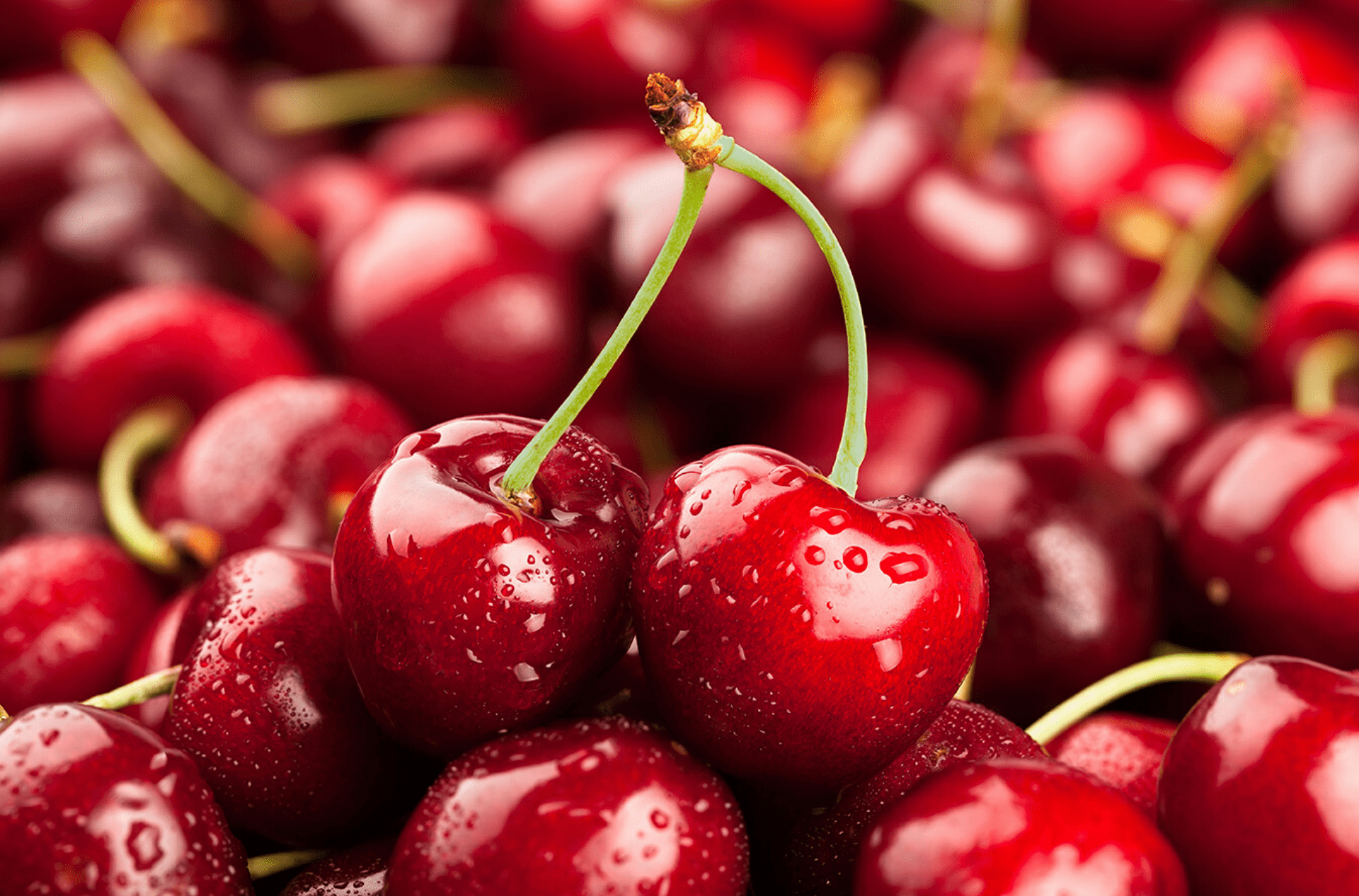 Size Cherry Mỹ trên thị trường được tính như thế nào?