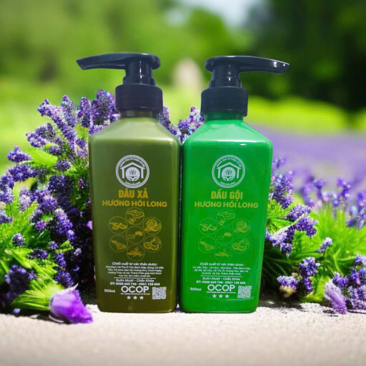 🔥 BÍ MẬT THẢO DƯỢC NGÀN ĐỜI – GIÚP MÁI TÓC KHỎE, HẾT GÀU, NGỪNG RỤNG! 🔥