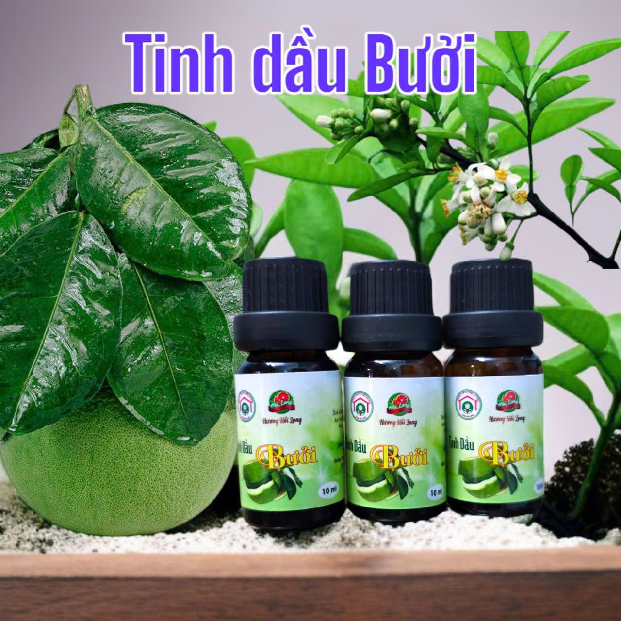 Tinh Dầu Bưởi: Công Dụng Kỳ Diệu Cho Sức Khỏe Và Làm Đẹp