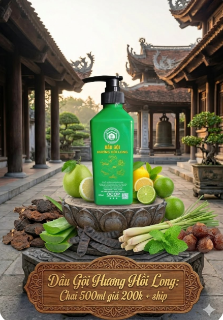 Dầu Gội Hương Hồi Long
