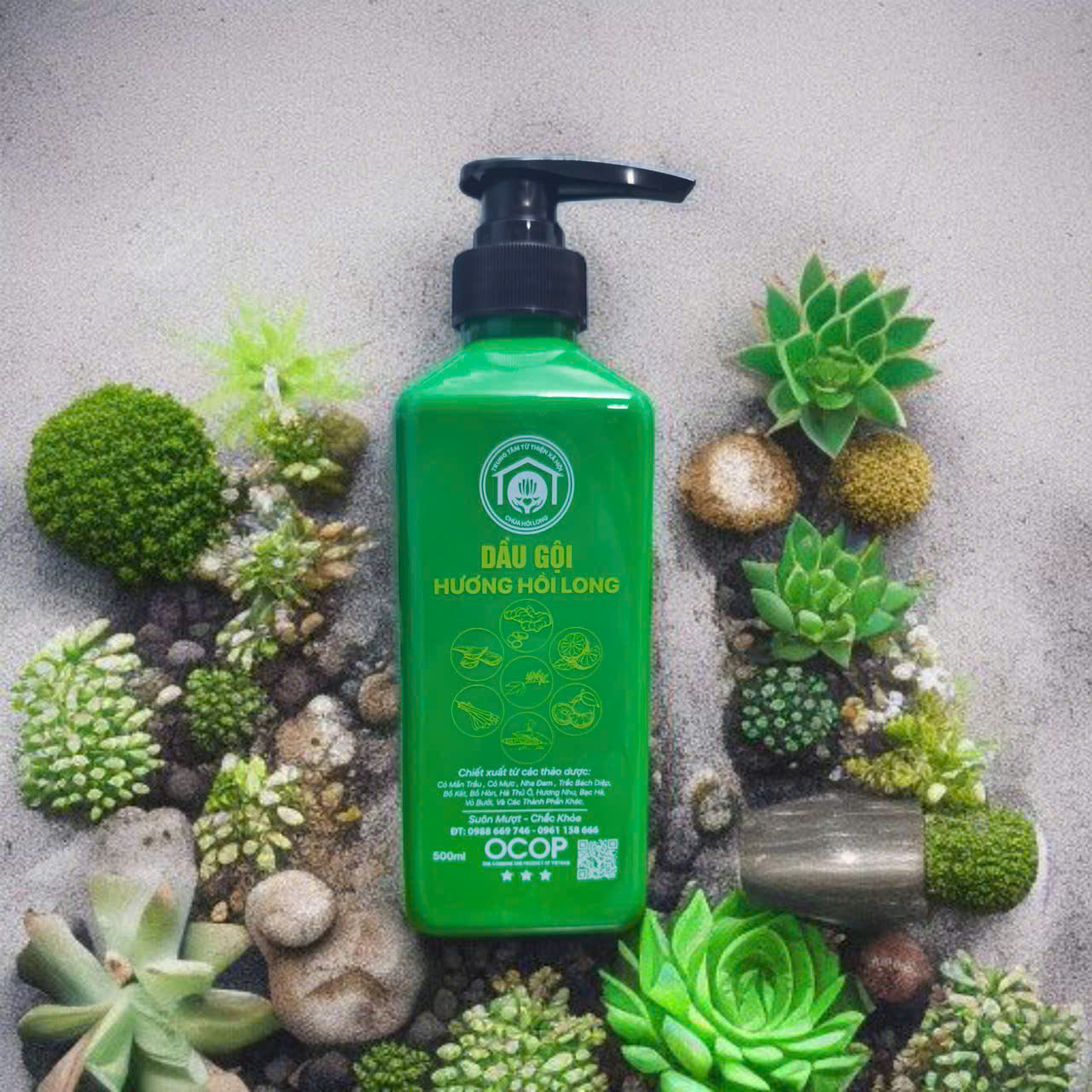 Dầu Gội Hương Hồi Long
