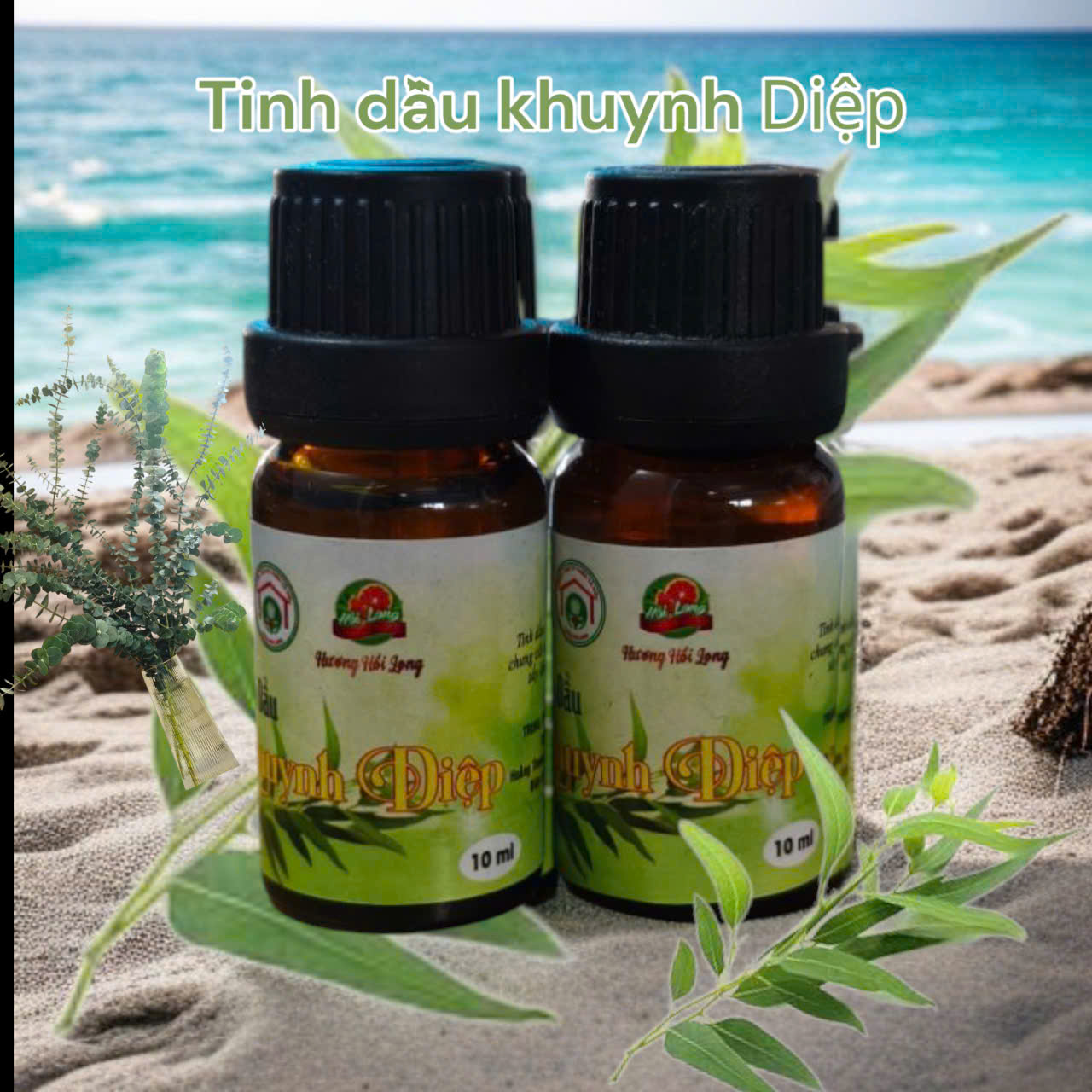 Tinh Dầu Khuynh Diệp