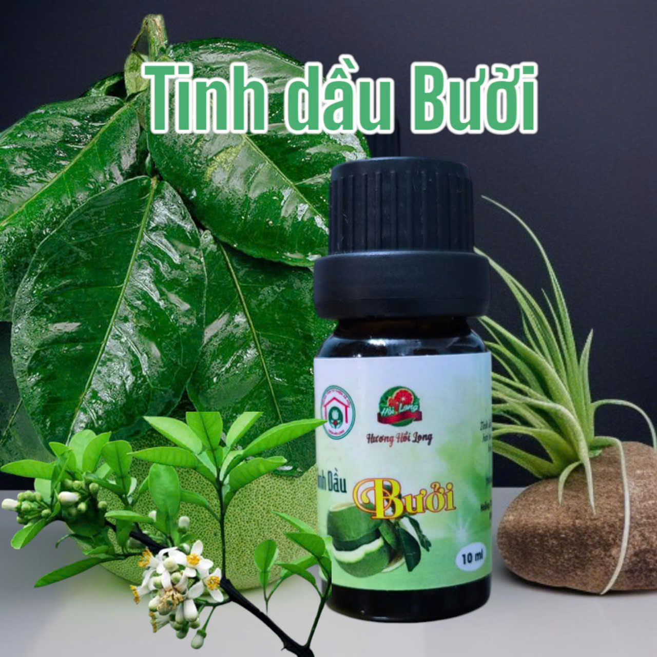 Tinh Dầu Bưởi