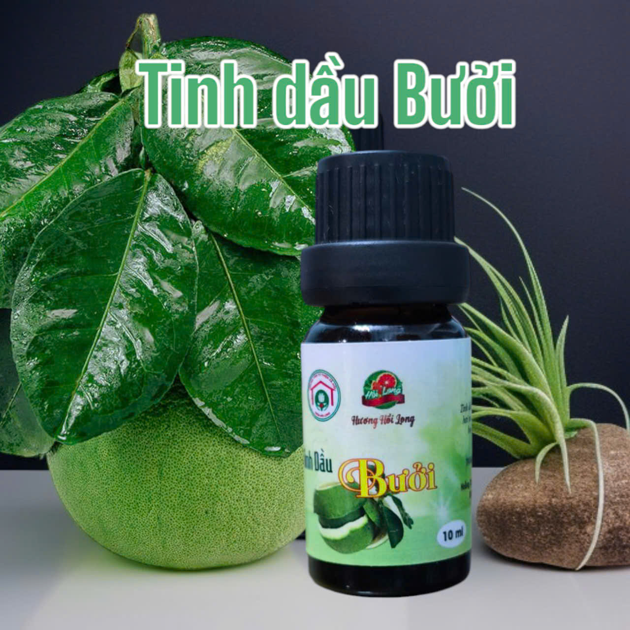 Tinh Dầu Bưởi