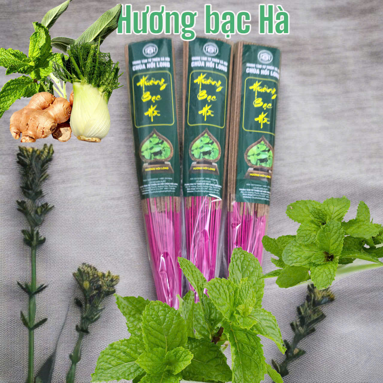 Hương Bạc Hà