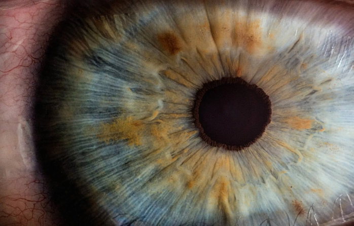 Bo-cuc-mau-sac-khi-su-dung-Lens-Macro