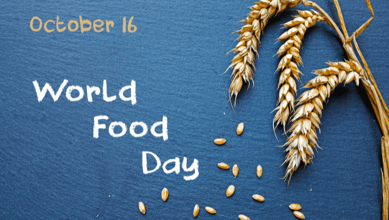 ngay-luong-thuc-the-gioi-16-10_World_food_Day