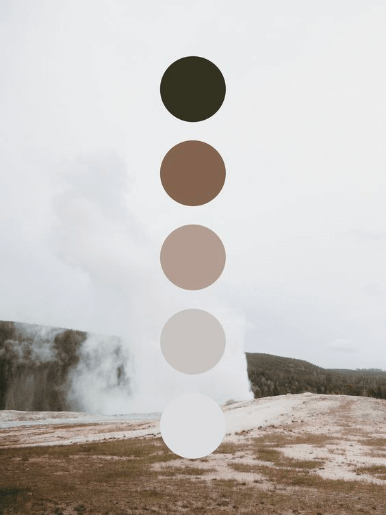 Y nghia Neutral-Color-Scheme trong lam phim