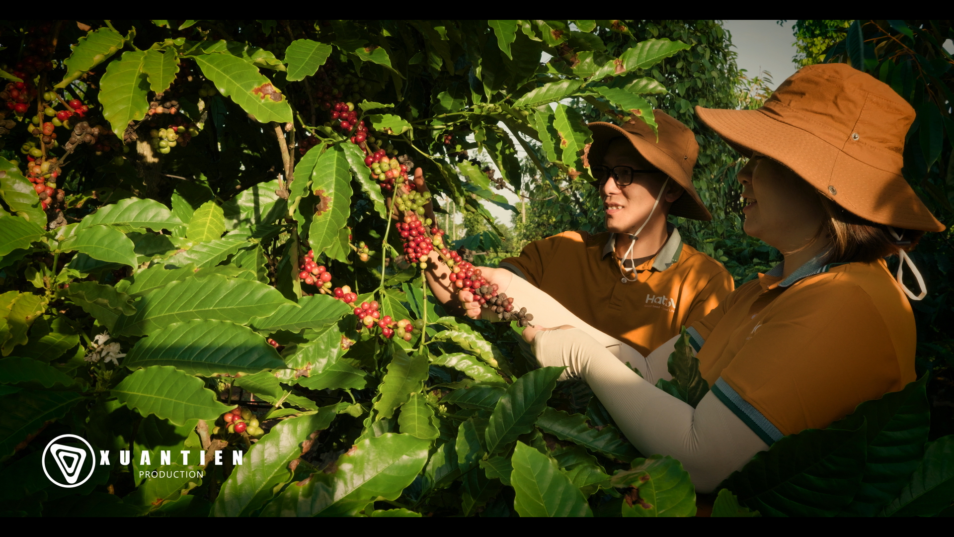 Xuân Tiên Production