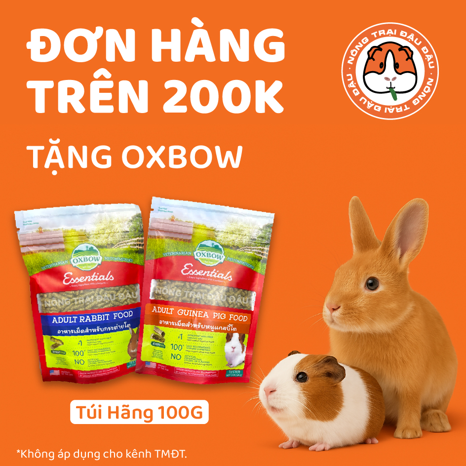 banner_group_1_1.jpg