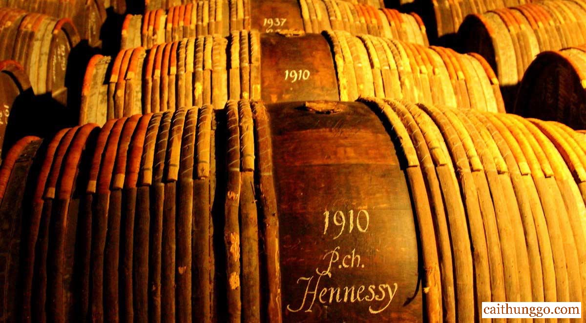 Cognac: Tất Cả Những Gì Bạn Cần Biết