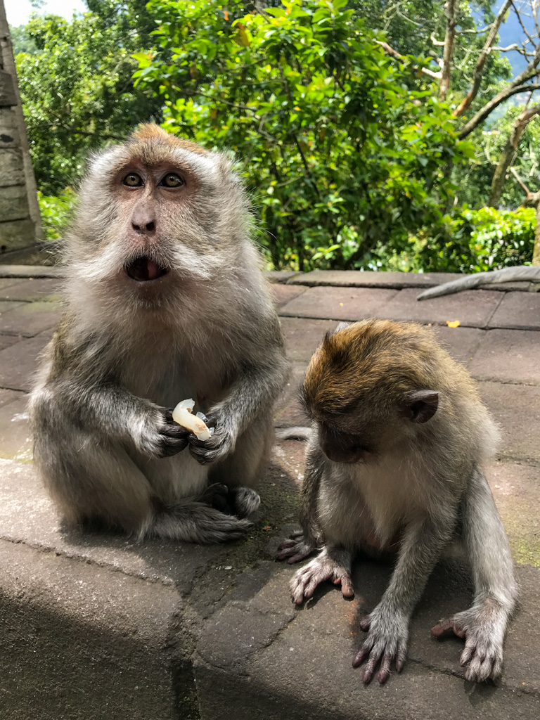 Cẩn thận mấy chú ngộ không